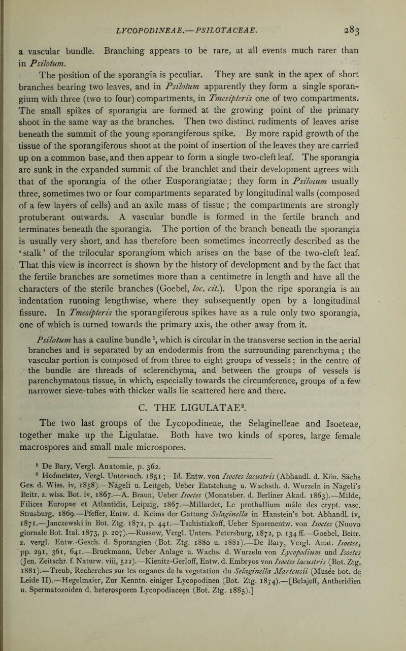 a vascular bundle. Branching appears to be rare, at all events much rarer than in Psilotum. The position of the sporangia is peculiar. They are sunk in the apex of short branches bearing two leaves, and in Psilotum apparently they form a single sporan- gium with three (two to four) compartments, in Tmesipteris one of two compartments. The small spikes of sporangia are formed at the growing point of the primary shoot in the same way as the branches. Then two distinct rudiments of leaves arise beneath the summit of the young sporangiferous spike. By more rapid growth of the tissue of the sporangiferous shoot at the point of insertion of the leaves they are carried up on a common base, and then appear to form a single two-cleft leaf. The sporangia are sunk in the expanded summit of the branchlet and their development agrees with that of the sporangia of the other Eusporangiatae; they form in Psilotum usually three, sometimes two or four compartments separated by longitudinal walls (composed of a few layers of cells) and an axile mass of tissue; the compartments are strongly protuberant outwards. A vascular bundle is formed in the fertile branch and terminates beneath the sporangia. The portion of the branch beneath the sporangia is usually very short, and has therefore been sometimes incorrectly described as the ‘stalk’ of the trilocular sporangium which arises on the base of the two-cleft leaf. That this view is incorrect is shown by the history of development and by the fact that the fertile branches are sometimes more than a centimetre in length and have all the characters of the sterile branches (Goebel, loc. cil.). Upon the ripe sporangia is an indentation running lengthwise, where they subsequently open by a longitudinal fissure. In Tmesipteris the sporangiferous spikes have as a rule only two sporangia, one of which is turned towards the primary axis, the other away from it. Psilotum has a cauline bundle which is circular in the transverse section in the aerial branches and is separated by an endodermis from the surrounding parenchyma; the vascular portion is composed of from three to eight groups of vessels; in the centre of the bundle are threads of sclerenchyma, and between the groups of vessels is parenchymatous tissue, in which, especially towards the circumference, groups of a few narrower sieve-tubes with thicker walls lie scattered here and there. C. THE LIGULATAE1 2. The two last groups of the Lycopodineae, the Selaginelleae and Isoeteae, together make up the Ligulatae. Both have two kinds of spores, large female macrospores and small male microspores. 1 De Bary, Vergl. Anatomie, p. 362. 2 Hofmeister, Vergl. Untersuch. 1851;—Id. Entw. von Isoetes lacustris (Abhandl. d. Kon. Sachs Ges. d. Wiss. iv, 1858).—Nageli u. Leitgeb, Ueber Entstehung u. Wachsth. d. Wurzeln in Nageli’s Beitr. z. wiss. Bot. iv, 1867.—A. Braun, Ueber Isoetes (Monatsber. d. Berliner Akad. 1863).—Milde, Filices Europae et Atlantidis, Leipzig, 1867.—Millardet, Le prothallium male des crypt, vase. Strasburg, 1869.—Pfeffer, Entw. d. Keims der Gattung Selaginella in Hanstein’s bot. Abhandl. iv, 1871.—Janczewski in Bot. Ztg. 1872, p. 441.—Tschistiakoff, Ueber Sporenentw. von Isoetes (Nuovo giomale Bot. Ital. 1873, p. 207).—Russow, Vergl. Unters. Petersburg, 1872, p. 134 ff.—Goebel, Beitr. z. vergl. Entw.-Gesch. d. Sporangien (Bot. Ztg. 1880 u. 1881).—De Bary, Vergl. Anat. Isoetes, pp. 291, 361, 641.—Bruckmann, Ueber Anlage u. Wachs. d. Wurzeln von Lycopodium und Isoetes (Jen. Zeitschr. f. Naturw. viii, 522).—Kienitz-Gerloff, Entw. d. Embryos von Isoetes lacustris (Bot. Ztg. 1881).—Treub, Recherches sur les organes dela vegetation du Selaginella Martensii (Musee bot. de Leide II).—Hegelmaier, Zur Kenntn. einiger Lycopodinen (Bot. Ztg. 1874).—[Belajeff, Antheridien u. Spermatozoiden d. heterosporen Lycopodiaceen (Bot. Ztg. 1885).]