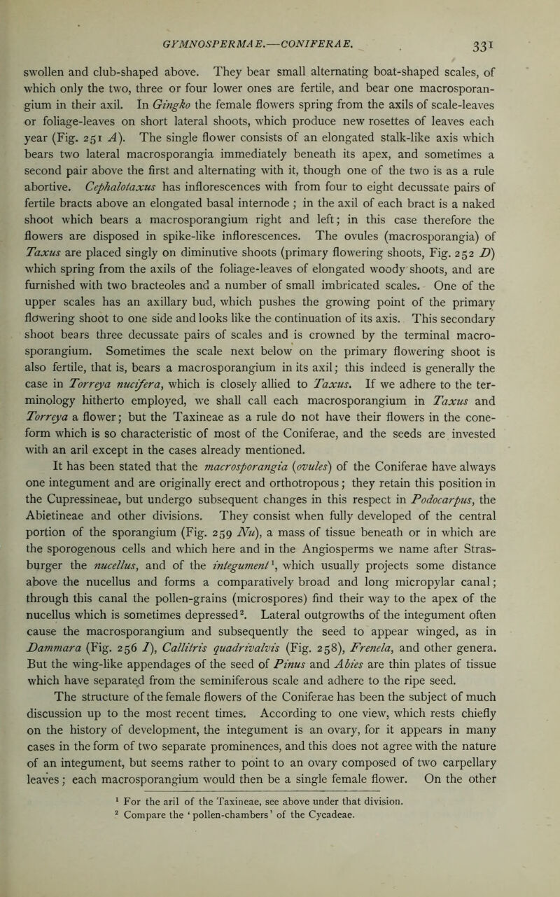 swollen and club-shaped above. They bear small alternating boat-shaped scales, of which only the two, three or four lower ones are fertile, and bear one macrosporan- gium in their axil. In Gingko the female flowers spring from the axils of scale-leaves or foliage-leaves on short lateral shoots, which produce new rosettes of leaves each year (Fig. 251 A). The single flower consists of an elongated stalk-like axis which bears two lateral macrosporangia immediately beneath its apex, and sometimes a second pair above the first and alternating with it, though one of the two is as a rule abortive. Cephalotaxus has inflorescences with from four to eight decussate pairs of fertile bracts above an elongated basal internode ; in the axil of each bract is a naked shoot which bears a macrosporangium right and left; in this case therefore the flowers are disposed in spike-like inflorescences. The ovules (macrosporangia) of Taxus are placed singly on diminutive shoots (primary flowering shoots, Fig. 252 D) which spring from the axils of the foliage-leaves of elongated woody shoots, and are furnished with two bracteoles and a number of small imbricated scales. One of the upper scales has an axillary bud, which pushes the growing point of the primary flowering shoot to one side and looks like the continuation of its axis. This secondary shoot bears three decussate pairs of scales and is crowned by the terminal macro- sporangium. Sometimes the scale next below on the primary flowering shoot is also fertile, that is, bears a macrosporangium in its axil; this indeed is generally the case in Torreya nucifera, which is closely allied to Taxus. If we adhere to the ter- minology hitherto employed, we shall call each macrosporangium in Taxus and Torreya a flower; but the Taxineae as a rule do not have their flowers in the cone- form which is so characteristic of most of the Coniferae, and the seeds are invested with an aril except in the cases already mentioned. It has been stated that the macrosporangia (ovules) of the Coniferae have always one integument and are originally erect and orthotropous; they retain this position in the Cupressineae, but undergo subsequent changes in this respect in Podocarpus, the Abietineae and other divisions. They consist when fully developed of the central portion of the sporangium (Fig. 259 Nu), a mass of tissue beneath or in which are the sporogenous cells and which here and in the Angiosperms we name after Stras- burger the nucellus, and of the integument', which usually projects some distance above the nucellus and forms a comparatively broad and long micropylar canal; through this canal the pollen-grains (microspores) find their way to the apex of the nucellus which is sometimes depressed2. Lateral outgrowths of the integument often cause the macrosporangium and subsequently the seed to appear winged, as in Dammara (Fig. 256 I), Callitris quadrivalvis (Fig. 258), Frenela, and other genera. But the wing-like appendages of the seed of Pinus and Abies are thin plates of tissue which have separated from the seminiferous scale and adhere to the ripe seed. The structure of the female flowers of the Coniferae has been the subject of much discussion up to the most recent times. According to one view, which rests chiefly on the history of development, the integument is an ovary, for it appears in many cases in the form of two separate prominences, and this does not agree with the nature of an integument, but seems rather to point to an ovary composed of two carpellary leaves; each macrosporangium would then be a single female flower. On the other 1 For the aril of the Taxineae, see above under that division. 2 Compare the ‘ pollen-chambers ’ of the Cycadeae.
