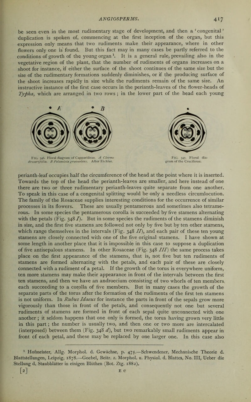 be seen even in the most rudimentary stage of development, and then a ‘ congenital ’ duplication is spoken of, commencing at the first inception of the organ, but this expression only means that two rudiments make their appearance, where in other flowers only one is found. But this fact may in many cases be partly referred to the conditions of growth of the young organ1. It is a general rule, prevailing also in the vegetative region of the plant, that the number of rudiments of organs increases on a shoot for instance, if either the surface of the shoot continues of the same size but the size of the rudimentary formations suddenly diminishes, or if the producing surface of the shoot increases rapidly in size while the rudiments remain of the same size. An instructive instance of the first case occurs in the perianth-leaves of the flower-heads of Typha, which are arranged in two rows; in the lower part of the head each young •A 8 B FlG. 346. Floral diagram of Capparideae. A Cleomc droseri/olia. B Polanisia graveolens. After Eichler. Fig. 347. Floral dia- gram of the Cruciferae. perianth-leaf occupies half the circumference of the head at the point where it is inserted. Towards the top of the head the perianth-leaves are smaller, and here instead of one there are two or three rudimentary perianth-leaves quite separate from one another. To speak in this case of a congenital splitting would be only a needless circumlocution. The family of the Rosaceae supplies interesting conditions for the occurrence of similar processes in its flowers. These are usually pentamerous and sometimes also tetrame- rous. In some species the pentamerous corolla is succeeded by five stamens alternating with the petals (Fig. 348 /). But in some species the rudiments of the stamens diminish in size, and the first five stamens are followed not only by five but by ten other stamens, which range themselves in the intervals (Fig. 348 IT), and each pair of these ten young stamens are closely connected with one of the five original stamens. I have shown at some length in another place that it is impossible in this case to suppose a duplication of five antisepalous stamens. In other Rosaceae (Fig. 348 III) the same process takes place on the first appearance of the stamens, that is, not five but ten rudiments of stamens are formed alternating with the petals, and each pair of these are closely connected with a rudiment of a petal. If the growth of the torus is everywhere uniform, ten more stamens may make their appearance in front of the intervals between the first ten stamens, and then we have an androecium consisting of two whorls of ten members each succeeding to a corolla of five members. But in many cases the growth of the separate parts of the torus after the formation of the rudiments of the first ten stamens is not uniform. In Rubus Idaeus for instance the parts in front of the sepals grow more vigorously than those in front of the petals, and consequently not one but several rudiments of stamens are formed in front of each sepal quite unconnected with one another ; it seldom happens that one only is formed, the torus having grown very little in this part ; the number is usually two, and then one or two more are intercalated (interposed) between them (Fig. 348 d), but two remarkably small rudiments appear in front cf each petal, and these may be replaced by one larger one. In this case also 1 Hofmeister, Allg. Morphol. d. Gewachse, p. 475.—Schwendener, Mechanische Theorie d. Blattstellungen, Leipzig, 1878.—Goebel, Beitr. z. Morphol. u. Physiol, d. Blattes, No. Ill, Ueber die Stellung d. Staubblatter in einigen Bliithen (Bot. Ztg. 1882). [2] e e