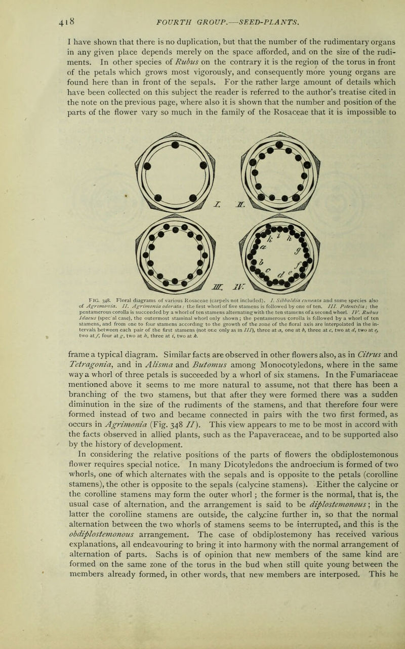 I have shown that there is no duplication, but that the number of the rudimentary organs in any given place depends merely on the space afforded, and on the size of the rudi- ments. In other species of Rubus on the contrary it is the region of the torus in front of the petals which grows most vigorously, and consequently more young organs are found here than in front of the sepals. For the rather large amount of details which have been collected on this subject the reader is referred to the author’s treatise cited in the note on the previous page, where also it is shown that the number and position of the parts of the flower vary so much in the family of the Rosaceae that it is impossible to FIG. 348. Floral diagrams of various Rosaceae (carpels not included). I. Sibbaldia cuiieala and some species also of Agnmonia. II. Agrimottt'a odorata: the first whorl of five stamens is followed by one of ten. III. Potentilla; the pentamerous corolla is succeeded by a whorl of ten stamens alternating with the ten stamens of a second whorl. IV. Rubus Idaeus (spec al case), the outermost staminal whorl only shown ; the pentamerous corolla is followed by a whorl of ten stamens, and from one to four stamens according to the growth of the zone of the floral axis are interpolated in the in- tervals between each pair of the first stamens (not or.e only as in III), three at a, one at b, three at c, two at d, two at e, two at f, four at^, two at h, three at i, two at A. frame a typical diagram. Similar facts are observed in other flowers also, as in Citrus and Tetragonia, and in Alisma and But omits among Monocotyledons, where in the same way a whorl of three petals is succeeded by a whorl of six stamens. In the Fumariaceae mentioned above it seems to me more natural to assume, not that there has been a branching of the two stamens, but that after they were formed there was a sudden diminution in the size of the rudiments of the stamens, and that therefore four were formed instead of two and became connected in pairs with the two first formed, as occurs in Agrimonia (Fig. 348 II). This view appears to me to be most in accord with the facts observed in allied plants, such as the Papaveraceae, and to be supported also by the history of development. In considering the relative positions of the parts of flowers the obdiplostemonous flower requires special notice. In many Dicotyledons the androecium is formed of two whorls, one of which alternates with the sepals and is opposite to the petals (coralline stamens), the other is opposite to the sepals (calycine stamens). Either the calycine or the coralline stamens may form the outer whorl ; the former is the normal, that is, the usual case of alternation, and the arrangement is said to be diplostemonous; in the latter the coralline stamens are outside, the calycine further in, so that the normal alternation between the two whorls of stamens seems to be interrupted, and this is the obdiplostemonous arrangement. The case of obdiplostemony has received various explanations, all endeavouring to bring it into harmony with the normal arrangement of alternation of parts. Sachs is of opinion that new members of the same kind are formed on the same zone of the torus in the bud when still quite young between the members already formed, in other words, that new members are interposed. This he