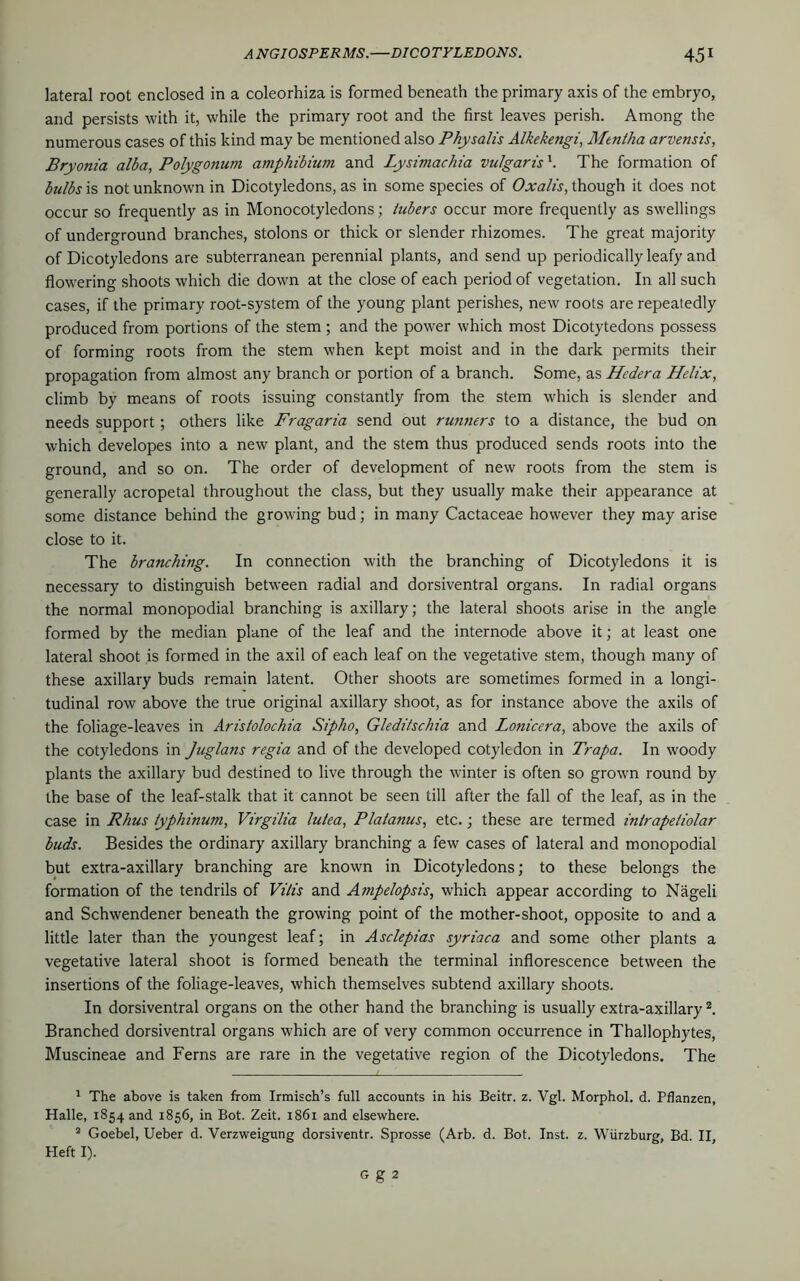 lateral root enclosed in a coleorhiza is formed beneath the primary axis of the embryo, and persists with it, while the primary root and the first leaves perish. Among the numerous cases of this kind may be mentioned also Physalis Alkekengi, Mentha arvensis, Bryonia alba, Polygonum amphibium and Lysimachia vulgaris \ The formation of bulbs is not unknown in Dicotyledons, as in some species of Oxalis, though it does not occur so frequently as in Monocotyledons; tubers occur more frequently as swellings of underground branches, stolons or thick or slender rhizomes. The great majority of Dicotyledons are subterranean perennial plants, and send up periodically leafy and flowering shoots which die down at the close of each period of vegetation. In all such cases, if the primary root-system of the young plant perishes, new roots are repeatedly produced from portions of the stem; and the power which most Dicotytedons possess of forming roots from the stem when kept moist and in the dark permits their propagation from almost any branch or portion of a branch. Some, as Hcdera Helix, climb by means of roots issuing constantly from the stem which is slender and needs support; others like Fragaria send out runners to a distance, the bud on which developes into a new plant, and the stem thus produced sends roots into the ground, and so on. The order of development of new roots from the stem is generally acropetal throughout the class, but they usually make their appearance at some distance behind the growing bud; in many Cactaceae however they may arise close to it. The branching. In connection with the branching of Dicotyledons it is necessary to distinguish between radial and dorsiventral organs. In radial organs the normal monopodial branching is axillary; the lateral shoots arise in the angle formed by the median plane of the leaf and the internode above it; at least one lateral shoot is formed in the axil of each leaf on the vegetative stem, though many of these axillary buds remain latent. Other shoots are sometimes formed in a longi- tudinal row above the true original axillary shoot, as for instance above the axils of the foliage-leaves in Aristolochia Sipho, Gledi/schia and Lonicera, above the axils of the cotyledons in Juglans regia and of the developed cotyledon in Trapa. In woody plants the axillary bud destined to live through the winter is often so grown round by the base of the leaf-stalk that it cannot be seen till after the fall of the leaf, as in the case in Rhus iyphinum, Virgilia lulea, Platanus, etc.; these are termed inlrapetiolar buds. Besides the ordinary axillary branching a few cases of lateral and monopodial but extra-axillary branching are known in Dicotyledons; to these belongs the formation of the tendrils of Vilis and Ampelopsis, which appear according to Nageli and Schwendener beneath the growing point of the mother-shoot, opposite to and a little later than the youngest leaf; in Asclepias syriaca and some other plants a vegetative lateral shoot is formed beneath the terminal inflorescence between the insertions of the foliage-leaves, which themselves subtend axillary shoots. In dorsiventral organs on the other hand the branching is usually extra-axillary2. Branched dorsiventral organs which are of very common occurrence in Thallophytes, Muscineae and Ferns are rare in the vegetative region of the Dicotyledons. The 1 The above is taken from Irmisch’s full accounts in his Beitr. z. Vgl. Morphol. d. Pflanzen, Halle, 1854 and 1856, in Bot. Zeit. 1861 and elsewhere. 2 Goebel, Ueber d. Verzweigung dorsiventr. Sprosse (Arb. d. Bot. Inst. z. Wurzburg, Bd. II, Heft I). G g 2
