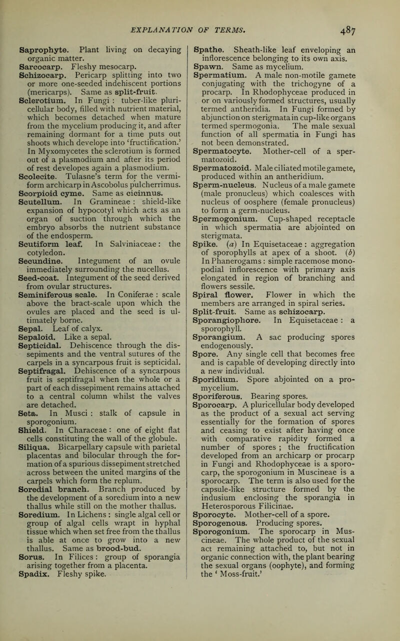 Saprophyte. Plant living on decaying organic matter. Sarcocarp. Fleshy mesocarp. Schizocarp. Pericarp splitting into two or more one-seeded indehiscent portions (mericarps). Same as split-fruit. Sclerotium. In Fungi : tuber-like pluri- cellular body, filled with nutrient material, which becomes detached when mature from the mycelium producing it, and after remaining dormant for a time puts out shoots which develope into ‘fructification.’ In Myxomycetes the sclerotium is formed out of a plasmodium and after its period of rest developes again a plasmodium. Scolecite. Tulasne’s term for the vermi- form archicarp in Ascobolus pulcherrimus. Scorpioid cyme. Same as cicinnus. Seutellum. In Gramineae : shield-like expansion of hypocotyl which acts as an organ of suction through which the embryo absorbs the nutrient substance of the endosperm. Scutiform leaf. In Salviniaceae: the cotyledon. Seeundine. Integument of an ovule immediately surrounding the nucellus. Seed-coat. Integument of the seed derived from ovular structures. Seminiferous scale. In Coniferae : scale above the bract-scale upon which the ovules are placed and the seed is ul- timately borne. Sepal. Leaf of calyx. Sepaloid. Like a sepal. Septicidal. Dehiscence through the dis- sepiments and the ventral sutures of the carpels in a syncarpous fruit is septicidal. Septifragal. Dehiscence of a syncarpous fruit is septifragal when the whole or a part of each dissepiment remains attached to a central column whilst the valves are detached. Seta. In Musci : stalk of capsule in sporogonium. Shield. In Characeae: one of eight flat cells constituting the wall of the globule. Siliqua. Bicarpellary capsule with parietal placentas and bilocular through the for- mation of a spurious dissepiment stretched across between the united margins of the carpels which form the replum. Soredial branch. Branch produced by the development of a soredium into a new thallus while still on the mother thallus. Soredium. In Lichens: single algal cell or group of algal cells wrapt in hyphal tissue which when set free from the thallus is able at once to grow into a new thallus. Same as brood-bud. Sorus. In Filices: group of sporangia arising together from a placenta. Spadix. Fleshy spike. Spathe. Sheath-like leaf enveloping an inflorescence belonging to its own axis. Spawn. Same as mycelium. Spermatium. A male non-motile gamete conjugating with the trichogyne of a procarp. In Rhodophyceae produced in or on variously formed structures, usually termed antheridia. In Fungi formed by abjunctionon sterigmatain cup-like organs termed spermogonia. The male sexual function of all spermatia in Fungi has not been demonstrated. Spermatocyte. Mother-cell of a sper- matozoid. Spermatozoid. Male ciliated motile gamete, produced within an antheridium. Sperm-nucleus. N ucleus of a male gamete (male pronucleus) which coalesces with nucleus of oosphere (female pronucleus) to form a germ-nucleus. Spermogonium. Cup-shaped receptacle in which spermatia are abjointed on sterigmata. Spike, (a) In Equisetaceae : aggregation of sporophylls at apex of a shoot. (6) In Phanerogams: simple racemose mono- podial inflorescence with primary axis elongated in region of branching and flowers sessile. Spiral flower. Flower in which the members are arranged in spiral series. Split-fruit. Same as schizocarp. Sporangiophore. In Equisetaceae : a sporophyll. Sporangium. A sac producing spores endogenously. Spore. Any single cell that becomes free and is capable of developing directly into a new individual. Sporidium. Spore abjointed on a pro- mycelium. Sporiferous. Bearing spores. Sporocarp. A pluricellular body developed as the product of a sexual act serving essentially for the formation of spores and ceasing to exist after having once with comparative rapidity formed a number of spores ; the fructification developed from an archicarp or procarp in Fungi and Rhodophyceae is a sporo- carp, the sporogonium in Muscineae is a sporocarp. The term is also used for the capsule-like structure formed by the indusium enclosing the sporangia in Heterosporous Filicinae. Sporocyte. Mother-cell of a spore. Sporogenous. Producing spores. Sporogonium. The sporocarp in Mus- cineae. The whole product of the sexual act remaining attached to, but not in organic connection with, the plant bearing the sexual organs (oophyte), and forming the ‘ Moss-fruit.’