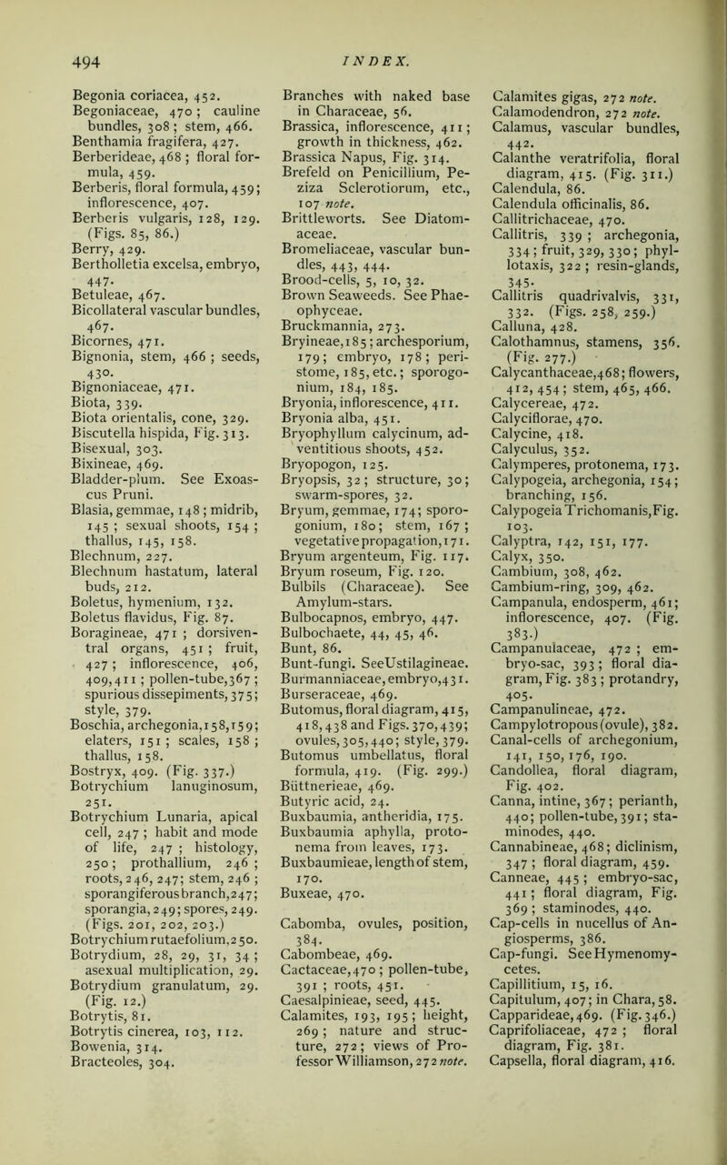 Begonia coriacea, 452. Begoniaceae, 470 ; cauline bundles, 308 ; stem, 466. Benthamia fragifera, 427. Berberideae, 468 ; floral for- mula, 459. Berberis, floral formula, 459; inflorescence, 407. Berberis vulgaris, 128, 129. (Figs. 85, 86.) Berry, 429. Bertholietia excelsa, embryo, 447- Betuleae, 467. Bicollateral vascular bundles, 467. Bicornes, 471. Bignonia, stem, 466 ; seeds, 43°. Bignoniaceae, 471. Biota, 339. Biota orientalis, cone, 329. Biscutella hispida, Fig. 313. Bisexual, 303. Bixineae, 469. Bladder-plum. See Exoas- cus Pruni. Blasia, gemmae, 148 ; midrib, 145 ; sexual shoots, 154 ; thallus, 145, 158. Blechnum, 227. Blechnum hastatum, lateral buds, 212. Boletus, hymenium, 132. Boletus flavidus, Fig. 87. Boragineae, 471 ; dorsiven- tral organs, 451 ; fruit, 427; inflorescence, 406, 409,411 ; pollen-tube,367 ; spurious dissepiments, 375; style, 379. Boschia, archegonia,i58,T59; elaters, 151; scales, 158; thallus, 158. Bostryx, 409. (Fig. 337.) Botrychium lanuginosum, 251. Botrychium Lunaria, apical cell, 247 ; habit and mode of life, 247 ; histology, 250; prothallium, 246; roots,246, 247; stem, 246 ; sporangiferous branch,247; sporangia, 249; spores, 249. (Figs. 201, 202, 203.) Botrychium rutaefolium, 2 50. Botrydium, 28, 29, 31, 34; asexual multiplication, 29. Botrydium granulatum, 29. (Fig. 12.) Botrytis, 81. Botrytis cinerea, 103, 112. Bowenia, 314. Bracteoles, 304. Branches with naked base in Characeae, 56. Brassica, inflorescence, 411; growth in thickness, 462. Brassica Napus, Fig. 314. Brefeld on Penicillium, Pe- ziza Sclerotiorum, etc., 107 note. Brittleworts. See Diatom- aceae. Bromeliaceae, vascular bun- dles, 443, 444. Brood-cells, 5, 10, 32. Brown Seaweeds. See Phae- ophyceae. Bruckmannia, 273. Bry ineae, 185; archesporium, 179; embryo, 178; peri- stome, 185, etc.; sporogo- nium, 184, 185. Bryonia, inflorescence, 411. Bryonia alba, 451. Bryophyllum calycinum, ad- ventitious shoots, 452. Bryopogon, 125. Bryopsis, 32; structure, 30; swarm-spores, 32. Bryum, gemmae, 174; sporo- gonium, 180; stem, 167; vegetative propaga! ion, 171. Bryum argenteum, Fig. 117. Bryum roseum, Fig. 120. Bulbils (Characeae). See Amylum-stars. Bulbocapnos, embryo, 447. Bulbochaete, 44, 45, 46. Bunt, 86. Bunt-fungi. SeeUstilagineae. Burmanniaceae, embryo,4 31. Burseraceae, 469. Butomus, floral diagram, 415, 418,438 and Figs. 37°, 439! ovules, 305,440; style, 379. Butomus umbellatus, floral formula, 419. (Fig. 299.) Biittnerieae, 469. Butyric acid, 24. Buxbaumia, antheridia, 175. Buxbaumia aphylla, proto- nema from leaves, 173. Buxbaumieae, length of stem, 170. Buxeae, 470. Cabomba, ovules, position, 384. Cabombeae, 469. Cactaceae,47o; pollen-tube, 391 ; roots, 451. Caesalpinieae, seed, 445. Catamites, 193, 195; height, 269 ; nature and struc- ture, 272; views of Pro- fessor Williamson, 272 note. Calamites gigas, 272 note. Calamodendron, 272 note. Calamus, vascular bundles, 442. Calanthe veratrifolia, floral diagram, 415. (Fig. 311.) Calendula, 86. Calendula officinalis, 86. Callitrichaceae, 470. Callitris, 339 ; archegonia, 3 34 ; fruit, 329, 330; phyl- lotaxis, 322; resin-glands, 345- Callitris quadrivalvis, 331, 332. (Figs. 258, 259.) Calluna, 428. Calothamnus, stamens, 356. (Fig. 277.) Calycanthaceae,468; flowers, 412, 454 ; stem, 465, 466. Calycereae, 472. Calyciflorae, 470. Calycine, 418. Calyculus, 352. Calymperes, protonema, 173. Calypogeia, archegonia, 154; branching, 156. Calypogeia Trichomanis,Fig. 103. Calyptra, 142, 151, 177. Calyx, 350. Cambium, 308, 462. Cambium-ring, 309, 462. Campanula, endosperm, 461; inflorescence, 407. (Fig. 3830 Campanulaeeae, 472 ; em- bryo-sac, 393 ; floral dia- gram, Fig. 383 ; protandry, 405. Campanulineae, 472. Campylotropous(ovule), 382. Canal-cells of archegonium, 141, 150, 176, 190. Candollea, floral diagram, Fig. 402. Canna, intine, 367; perianth, 440; pollen-tube,391; sta- minodes, 440. Cannabineae, 468; diclinism, 347; floral diagram, 459. Canneae, 445 ; embryo-sac, 441; floral diagram, Fig. 369; staminodes, 440. Cap-cells in nucellus of An- giosperms, 386. Cap-fungi. SceHymenomy- cetes. Capillitium, 15, 16. Capitulum, 407; in Chara, 58. Capparideae,469. (Fig. 346.) Caprifoliaceae, 472 ; floral diagram, Fig. 381. Capsella, floral diagram, 416.