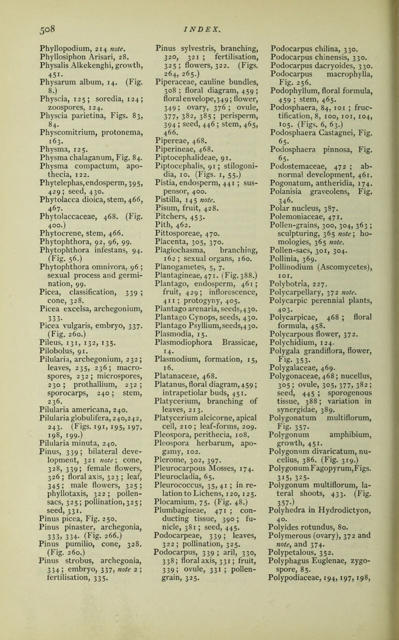 Phyllopodium, 214 note. Phyllosiphon Arisari, 28. Physalis Alkekenghi, growth, 451. Physarum album, 14. (Fig. 8.) Physcia, 125; soredia, 124; zoospores, 124. Physcia parietina, Figs. 83, 84. Physcomitrium, protonema, 163. Physma, 125. Physma chalaganum, Fig. 84. Physma compactum, apo- thecia, 122. Phytelephas, endosperm, 395, 429; seed, 430. Phytolacca dioica, stem, 466, 467. Phytolaccaceae, 468. (Fig. 400.) Phytocrene, stem, 466. Phytophthora, 92, 96, 99. Phytophthora infestans, 94. (Fig. 56.) Phytophthora omnivora, 96 ; sexual process and germi- nation, 99. Picea, classification, 339 ; cone, 328. Picea excelsa, archegonium, 333- Picea vulgaris, embryo, 337. (Fig. 260.) Pileus, 131, 132, 135. Pilobolus, 91. Pilularia, archegonium, 232; leaves, 235, 236; macro- spores, 232; microspores, 230 ; prothallium, 232 ; sporocarps, 240; stem, 236. Pilularia americana, 240. Pilularia globulifera, 240,242, 243. (Figs. 191, 195, 197, 198, 199.) Pilularia minuta, 240. Pinus, 339; bilateral deve- lopment, 321 note; cone, 328, 339; female flowers, 326 ; floral axis, 323 ; leaf, 345; male flowers, 325; phyllotaxis, 322 ; pollen- sacs, 325; pollination, 325; seed, 331. Pinus picea, Fig. 250. Pinus pinaster, archegonia, 333, 334- (Fig. 266.) Pinus pumilio, cone, 328. (Fig. 260.) Pinus strobus, archegonia, 334 ; embryo, 337, note 2 ; fertilisation, 335. Pinus sylvestris, branching, 320, 321 ; fertilisation, 325 ; flowers, 322. (Figs. 264, 265.) Piperaceae, cauline bundles, 308 ; floral diagram, 459 ; floral envelope,349; flower, 349; ovary, 376 ; ovule, 377, 382, 385; perisperm, 394 ; seed, 446 ; stem, 465, 466. Pipereae, 468. Piperineae, 468. Piptocephalideae, 91. Piptocephalis, 91; stilogoni- dia, 10. (Figs. 1, 55.) Pistia, endosperm, 441 ; sus- pensor, 400. Pistilla, 145 note. Pisum, fruit, 428. Pitchers, 453. Pith, 462. Pittosporeae, 470. Placenta, 303, 370. Plagiochasma, branching, 162 ; sexual organs, 160. Planogametes, 5, 7. Plantagineae, 471. (Fig. 388.) Plantago, endosperm, 461; fruit, 429; inflorescence, 411; protogyny, 405. Plantago arenaria, seeds,430. Plantago Cynops, seeds, 430. Plantago Psyllium,seeds,430. Plasmodia, 15. Plasmodiophora Brassicae, 14. Plasmodium, formation, 15, 16. Platanaceae, 468. Platanus, floral diagram, 459; intrapetiolar buds, 451. Platycerium, branching of leaves, 213. Platycerium alcicorne, apical cell, 210; leaf-forms, 209. Pleospora, perithecia, 108. Pleospora herbarum, apo- gamy, 102. Plerome, 302, 397. Pleurocarpous Mosses, 174. Pleurocladia, 65. Pleurococcus, 35, 41 ; in re- lation to Lichens, 120,125. Plocamium, 75. (Fig. 48.) Plumbagineae, 471 ; con- ducting tissue, 390 ; fu- nicle, 381; seed, 445. Podocarpeae, 339; leaves, 322; pollination, 325. Podocarpus, 339 ; aril, 330, 338; floral axis, 331; fruit, 339; ovule, 331 ; pollen- grain, 325. Podocarpus chilina, 330. Podocarpus chinensis, 330. Podocarpus dacryoides, 330. Podocarpus macrophylla, Fig. 256. Podophyllum, floral formula, 459 ; stem, 465. Podosphaera, 84, 101 ; fruc- tification, 8, 100, 101, 104, 105. (Figs. 6, 63.) Podosphaera Castagnei, Fig. 65. Podosphaera pinnosa, Fig. 65. Podostemaceae, 472 ; ab- normal development, 461. Pogonatum, antheridia, 174. Polanisia graveolens, Fig. 346. Polar nucleus, 387. Polemoniaceae, 471. Pollen-grains, 300, 304, 363 ; sculpturing, 365 note] ho- mologies, 365 note. Pollen-sacs, 301, 304. Pollinia, 369. Pollinodium (Ascomycetes), ior. Polybotria, 227. Polycarpellary, 372 note. Polycarpic perennial plants, 403. Polycarpicae, 468 ; floral formula, 458. Polycarpous flower, 372. Polychidium, 124. Polygala grandiflora, flower, Fig. 353- Polygalaceae, 469. Polygonaceae, 468; nucellus, 305; ovule, 305, 377, 382; seed, 445 ; sporogenous tissue, 388; variation in synergidae, 389. Polygonatum multiflorum, Fig. 357- Polygonum amphibium, growth, 451. Polygonum divaricatum, nu- cellus, 386. (Fig. 319.) Polygonum F agopyrum,Figs. 315, 325- Polygonum multiflorum, la- teral shoots, 433. (Fig. 357-) Polyhedra in Hydrodictyon, 40. Polyides rotundus, 80. Polymerous (ovary), 372 and note, and 374. Polypetalous, 352. Polyphagus Euglenae, zygo- spore, 85. Polypodiaceae, 194,197,198,