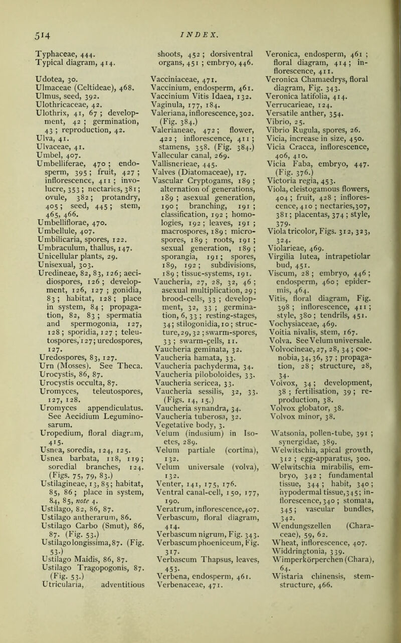 Typhaceae, 444. Typical diagram, 414. Udotea, 30. Ulmaceae (Celtideae), 468. Ulmus, seed, 392. Ulothricaceae, 42. Ulothrix, 41, 67 ; develop- ment, 42 ; germination, 43 ; reproduction, 42. Ulva, 41. Ulvaceae, 41. Umbel, 407. Umbelliferae, 470 ; endo- sperm, 395 ; fruit, 427 ; inflorescence, 411 ; invo- lucre, 353 ; nectaries, 381; ovule, 382; protandry, 405; seed, 445; stem, 465, 466. Umbelliflorae, 470. Umbellule, 407. Umbilicaria, spores, 122. Umbraculum, thallus, 147. Unicellular plants, 29. Unisexual, 303. Uredineae, 82, 83, 126; aeci- diospores, 126; develop- ment, 126, 127 ; gonidia, 83; habitat, 128; place in system, 84 ; propaga- tion, 82, 83; spermatia and spermogonia, 127, 128; sporidia, 127 ; teleu- tospores, 127; uredospores, 127. Uredospores, 83,127. Urn (Mosses). See Theca. Urocystis, 86, 87. Urocystis occulta, 87. Uromyces, teleutospores, 127, 128. Uromyces appendiculatus. See Aecidium Legumino- sarum. Uropedium, floral diagram, 415. Usnea, soredia, 124, 125. Usnea barbata, 118, 119; soredial branches, 124. (Figs. 75, 79, 83.) Ustilagineae, 13,85; habitat, 85, 86; place in system, 84, 85, note 4. Ustilago, 82, 86, 87. Ustilago antherarum, 86. Ustilago Carbo (Smut), 86, 87. (Fig. 53.) Ustilagolongissima,87. (Fig. 53-) Ustilago Maidis, 86, 87. Ustilago Tragopogonis, 87. (Fig. 53-) Utricularia, adventitious shoots, 452 ; dorsiventral organs, 451 ; embryo, 446. Vacciniaceae, 471. Vaccinium, endosperm, 461. Vaccinium Vitis Idaea, 132. Vaginula, 177, 184. Valeriana, inflorescence, 302. (Fig. 384.) Valerianeae, 472; flower, 422; inflorescence, 411; stamens, 358. (Fig. 384.) Vallecular canal, 269. Vallisnerieae, 445. Valves (Diatomaceae), 17. Vascular Cryptogams, 189 ; alternation of generations, 189 ; asexual generation, 190; branching, 191 ; classification, 192 ; homo- logies, 192; leaves, 191 ; macrospores, 189; micro- spores, 189 ; roots, 191 ; sexual generation, 189 ; sporangia, 191; spores, 189, 192; subdivisions, 189 ; tissue-systems, 191. Vaucheria, 27, 28, 32, 46 ; asexual multiplication, 29; brood-cells, 33 ; develop- ment, 32, 33 ; germina- tion, 6, 33; resting-stages, 34; stilogonidia, 10; struc- ture,29, 32 ;swarm-spores, 33 ; swarm-cells, 11. Vaucheria geminata, 32. Vaucheria hamata, 33. Vaucheria pachyderma, 34. Vaucheria piloboloides, 33. Vaucheria sericea, 33. Vaucheria sessilis, 32, 33. (Figs. 14, 15.) Vaucheria synandra, 34. Vaucheria tuberosa, 32. Vegetative body, 3. Velum (indusium) in Iso- etes, 289. Velum partiale (cortina), 132. Velum universale (volva), 132. Venter, 141, 175, 176. Ventral canal-cell, 150, 177, 190. Veratrum, inflorescence,407. Verbascum, floral diagram, 414. Verbascum nigrum, Fig. 343. Verbascum phoeniceum, Fig. 317. Verbascum Thapsus, leaves, 453- Verbena, endosperm, 461. Verbenaceae, 471. Veronica, endosperm, 461 ; floral diagram, 414; in- florescence, 411. Veronica Chamaedrys, floral diagram, Fig. 343. Veronica latifolia, 414. Verrucarieae, 124. Versatile anther, 354. Vibrio, 25. Vibrio Rugula, spores, 26. Vicia, increase in size, 450. Vicia Cracca, inflorescence, 406, 410. Vicia Faba, embryo, 447. (Fig. 376.) Victoria regia, 453. Viola, cleistogamous flowers, 404 ; fruit, 428 ; inflores- cence, 410 ; nectaries,307, 381; placentas, 374; style, 379- Viola tricolor, Figs. 312, 323, 324. Violarieae, 469. Virgilia lutea, intrapetiolar bud, 451. Viscum, 28; embryo, 446; endosperm, 460; epider- mis, 464. Vitis, floral diagram, Fig. 398; inflorescence, 411; style, 380; tendrils, 451. Vochysiaceae, 469. Voitia nivalis, stem, 167. Volva. See Velum universale. Volvocineae, 27, 28,34; coe- nobia, 34,36, 37 ; propaga- tion, 28 ; structure, 28, 34- Voivox, 34; development, 38 ; fertilisation, 39 ; re- production, 38. Voivox globator, 38, Voivox minor, 38. Watsonia, pollen-tube, 391 ; synergidae, 389. Welwitschia, apical growth, 312; egg-apparatus, 300. Welwitschia mirabilis, em- bryo, 342 ; fundamental tissue, 344 ; habit, 340; nypodermal tissue,345; in- florescence, 340 ; stomata, 345; vascular bundles, 342. Wendungszellen (Chara- ceae), 59, 62. Wheat, inflorescence, 407. Widdringtonia, 339. Wimperkorperchen (Chara), 64. Wistaria chinensis, stem- structure, 466.