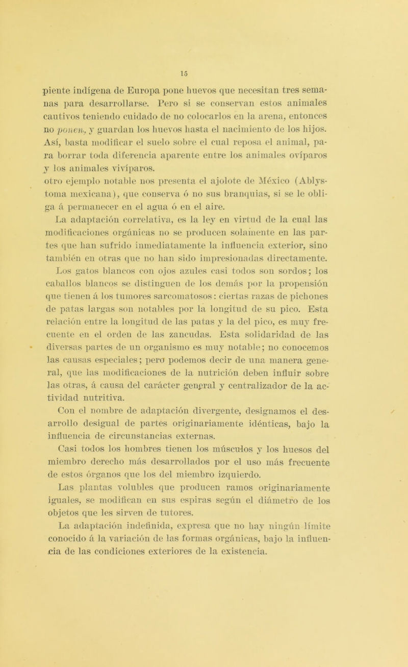 pieute indígena de Europa pone huevos que necesitan tres sema- nas para desarrollarse. Pero si se conservan estos animales cautivos teniendo cuidado de no colocarlos en la arena, entonces no pone]h, y guardan los huevos hasta el nacimiento de los hijos. Así, hasta modiftcar el suelo sobre el cual reposa el animal, pa- ra borrar toda diferencia aparente entre los animales ovíparos y los animales vivíparos. otro ejemplo notable nos presenta el ajolote de ^léxico (Ablys- toina mexicana), que conserva ó no sus bramiuias, si se le obli- ga á permanecer en el agua ó en el aire. La adaptación correlativa, es la ley en virtud de la cual las moditieaciones orgánicas no se producen solainente en las par- tes que lian sufrido inmediatamente la influencia exterior, sino también en otras que no han sido impresionadas directamente. Los gatos blancos con ojos azules casi todos son sordos; los caballos blancos se distinguen de los demás por la propensión que tienen á los tumores sarcomatosos; ciertas razas de pichones de patas largas son notables por la longitud de su pico. Esta relación entre la longitud de las patas y la del pico, es muy fre- cuente en el orden de las zancudas. Esta solidaridad de las diversas partes de un organismo es muy notable; no conocemos las causas especiales; pero podemos decir de una manera gene- ral, que las modificaciones de la nutrición deben influir sobre las otras, á causa del carácter genpral y centralizador de la ac- tividad nutritiva. Con el nombre de adaptación divergente, designamos el des- arrollo desigual de partes originariamente idénticas, bajo la influencia de circunstancias externas. Casi todos los hombres tienen los músculos y los huesos del miembro derecho más desarrollados por el uso más frecuente de estos órganos que los del miembro izquierdo. Las plantas volubles que producen ramos originariamente iguales, se modifican en sus espiras según el diámetro de los objetos que les sirs’en de tutores. La adaptación indefinida, expresa que no hay ningún límite conocido á la variación de las formas orgánicas, bajo la influen- cia de las condiciones exteriores de la existencia.