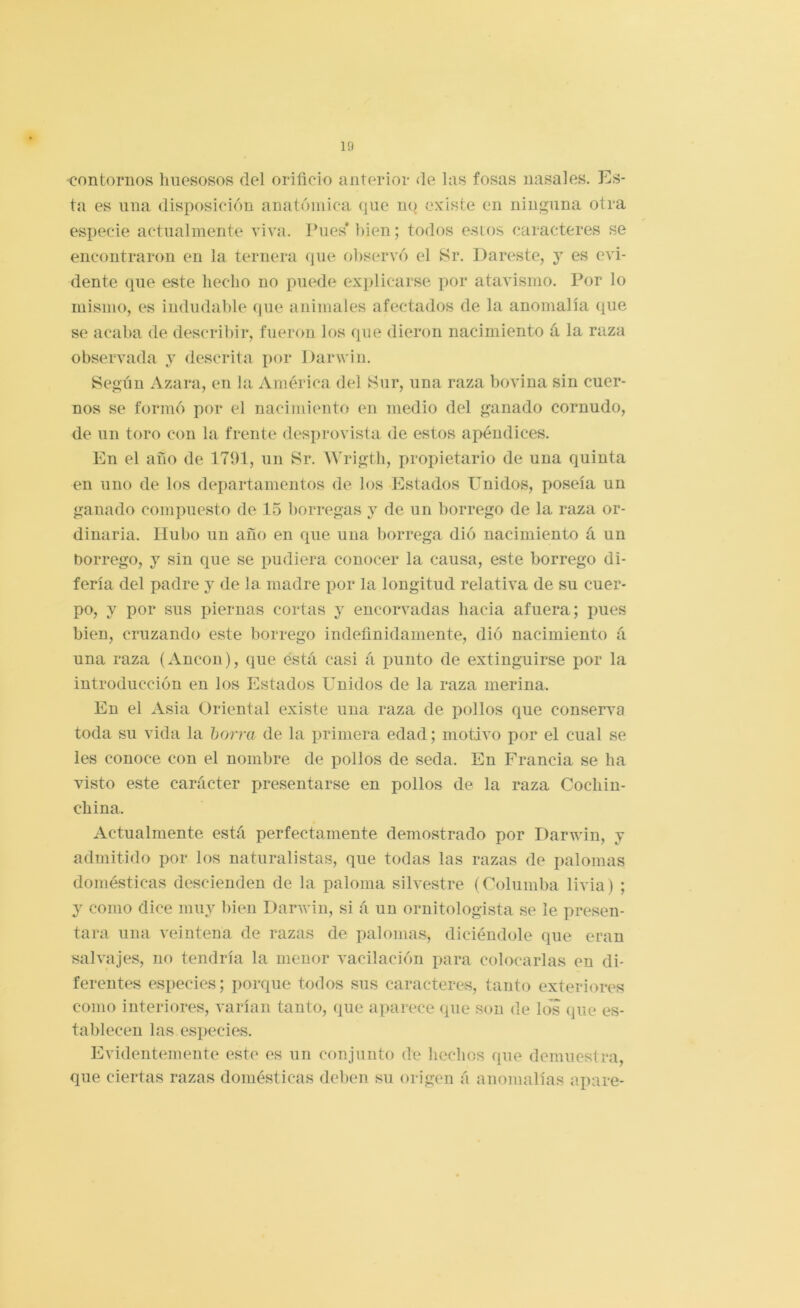 -contornos liuesosos del orificio anterior de las fosas nasales. P^s- ta es una disposición anatómica que no existe en ninguna otra especie actualmente viva. Pues* bien; todos estos caracteres se encontraron en la ternera que oliservó el Sr. Dareste, y es evi- dente que este hedió no puede explicarse por atavismo. Por lo mismo, es indudable que animales afectados de la anomalía que se acaba de describir, fueron los que dieron nacimiento á la raza observada y descrita iior l)arA\ iu. Según Azara, en la América del Sur, una raza bovina sin cuer- nos se formó por el nacimiento en medio del ganado cornudo, de un toro con la frente desprovista de estos apéndices. En el afio de 1791, un Sr. Wrigtli, propietario de una quinta en uno de los departamentos de ios Estados Unidos, poseía un ganado compuesto de 15 borregas y de un borrego de la raza or- dinaria. Hubo un año en que una borrega dió nacimiento á un borrego, y sin que se pudiera conocer la causa, este borrego di- fería del padre y de la madre por la longitud relativa de su cuer- po, y por sus piernas cortas y encorvadas hacia afuera; pues bien, cruzando este borrego indefinidamente, dió nacimiento á una raza (Ancón), que está casi á punto de extinguirse por la introducción en los Estados Unidos de la raza merina. En el Asia Oriental existe una raza de pollos que conserím toda su vida la horra de la primera edad; motivo por el cual se les conoce con el nombre de pollos de seda. En Francia se ha visto este carácter presentarse en pollos de la raza Cochin- china. Actualmente está perfectamente demostrado por Darwin, y admitido por los naturalistas, que todas las razas de palomas domésticas descienden de la paloma silvestre (Columba livia) ; y como dice muy bien Darwin, si á un ornitologista se le presen- tara una veintena de razas de palomas, di riéndole que eran salvajes, no tendría la menor vacilación para colocarlas en di- ferentes especies; porque todos sus caracteres, tanto exteriores como interiores, varían tanto, que aparece que son de los que es- tablecen las especies. Evidentemente este es un conjunto de hechos que demuestra, que ciertas razas domésticas deben su origen á anomalías apare-