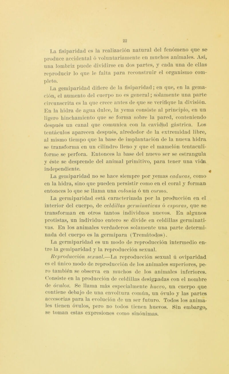L<o, fisiparidad es la realización natural del fenómeno que se produce accidental ó voluntariamente en muchos animales. Así, una lombriz puede dividirse en dos partes, y cada una de ellas reproducir lo que le falta para reconstruir el organismo com- pleto. La gemiparidad difiere de la fisi]>aridad; en que, en la gema- ción, el aumento del cuerpo no es general; solamente una parte circunscrita es la que crece antes de (pie se verifi(pie la división. JAi la hidra de agua dulce, la yema consiste al principio, en un ligero hinchamiento que se forma sobre la pared, conteniendo después un canal que comunica con la cavi(fird gástrica. Los tentáculos aparecen después, alrededor de la extremidad libre, al mismo tiempo que la base de im])lantación de la nueva hidra se transforma en un cilindro lleno y cpie el mamelón tentaculi- forme se perfora. Entonces la base del nuevo ser se estrangula y éste se desprende del animal primitivo, pjira tener una vidti independiente. La gemiparidad no se hace siempre por yemas caducas, como en la hidra, sino que pueden persistir como en el coral y forman entonces lo que se llama una colonia ó un conno. La germiparidad está caracterizada por la producción en el interior del cuerpo, de celdillas gcnninativas ó esporas, que se transforman en otros tantos individuos nuevos. En algunos protistas, un individuo entero se divide en celdillas germinati- vas. En los animales verdaderos solamente una ])arte determi- nada del cuerpo es la germípara (Tremátodos). La germiparidad es un modo de reproducción intermedio en- tre la gemiparidad y la reproducción sexual. Reproducción sexual.—La reproducción sexual ú oviparidad es el único modo de reproducción de los animales superiores, pe- ro también se observa en muchos de los animales inferiores, ('onsiste en la producción de celdillas designadas con el nombre de óvulos. Se llama más especialmente huevo, un cuerpo que contiene debajo de una envoltura común, un óvulo y las partes accesorias para la evoluci(ui de un ser futuro. Todos los anima- les tienen óvulos, pero no todos tienen huevos. Sin embargo, se toman estas expresiones como simfiiimas.