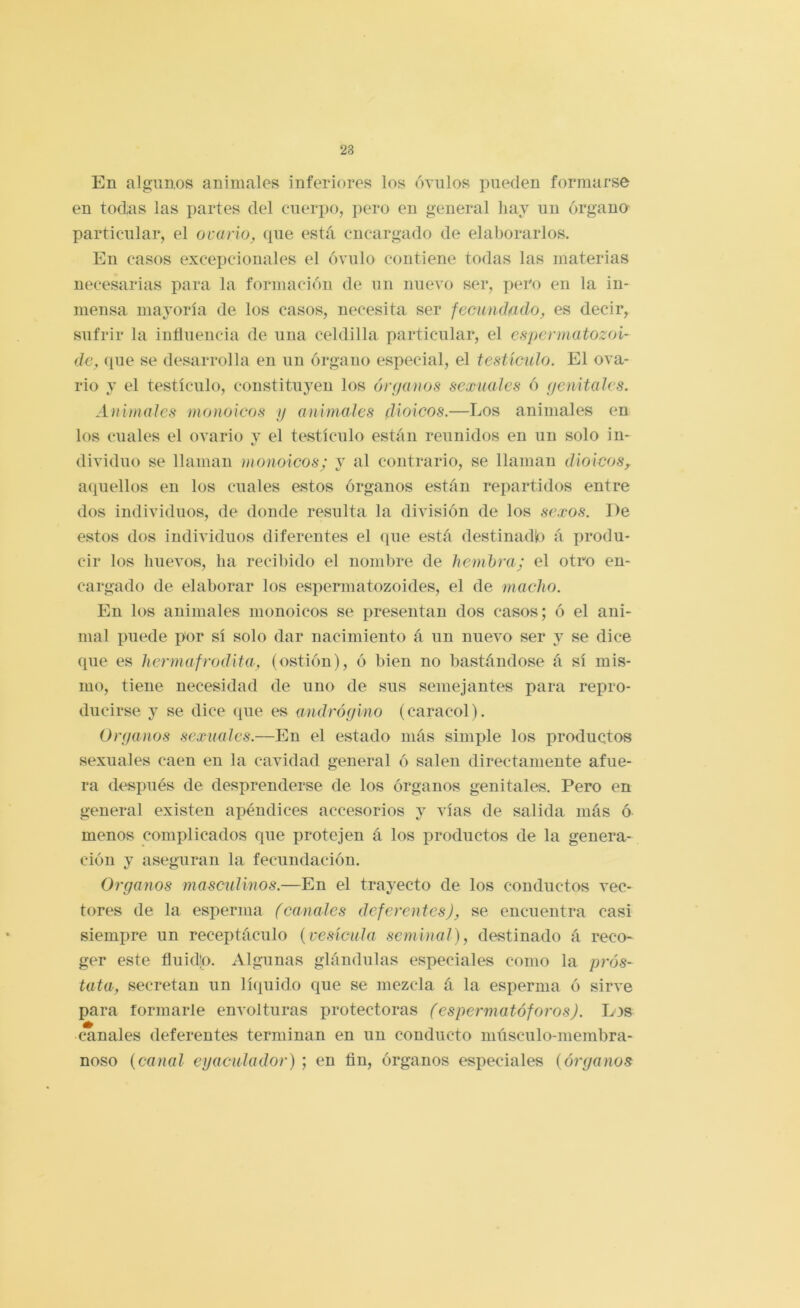 En algunos animales inferiores los óvulos pueden formarse en todas las partes del cuerpo, pero en general hay un órgano particular, el ovario, (pie está encargado de elaborarlos. En casos excepcionales el óvulo contiene todas las materias necesarias para la formación de un nuevo ser, pero en la in- mensa mayoría de los casos, necesita, ser fecundado, es decir, sufrir la intiuencia de una celdilla particular, el espermatozoi- de, (pie se desarrolla en un órgano especial, el testículo. El ova- rio y el testículo, constituyen los únjanos sexuales ó (¡enitales. Animales monoicos y animales dioicos.—Los animales en los cuales el ovario v el testículo están reunidos en un solo in- dividiio se llaman monoicos; y al contrario, se llaman dioicos, a(piellos en los cuales estos órganos están repartidos entre dos individuos, de donde resulta la división de los sexos. De estos dos individuos diferentes el que está destinadlo á produ- cir los huevos, ha recibido el nombre de hembra; el otro en- cargado de elaborar los espermatozoides, el de macho. En los animales monoicos se presentan dos casos; ó el ani- mal piKKle por sí solo dar nacimiento á un nuevo ser y se dice que es hermafrodita, (ostión), ó bien no bastándose á sí mis- mo, tiene necesidad de uno de sus semejantes para repro- ducirse y se dice que es andrógino (caracol). Organos sexuales.—En el estado más simple los productos sexuales caen en la cavidad general ó salen directamente afue- ra después de desprenderse de los órganos genitales. Pero en general existen apéndices accesorios y vías de salida más ó menos complicados que protejen á los productos de la genera- ción y aseguran la fecundación. Organos masculinos.—En el trayecto de los conductos vec- tores de la esperma (canales deferentes), se encuentra casi siempre un receptáculo {vesícula seminal), destinado á reco- ger este fluido. Algunas glándulas especiales como la prós- tata, secretan un líquido que se mezcla á la esperma ó sirve para formarle envolturas protectoras (espermatóforos). Los canales deferentes terminan en un conducto músculo-membra- noso {canal eyaculador) ; en fin, órganos especiales {órganos