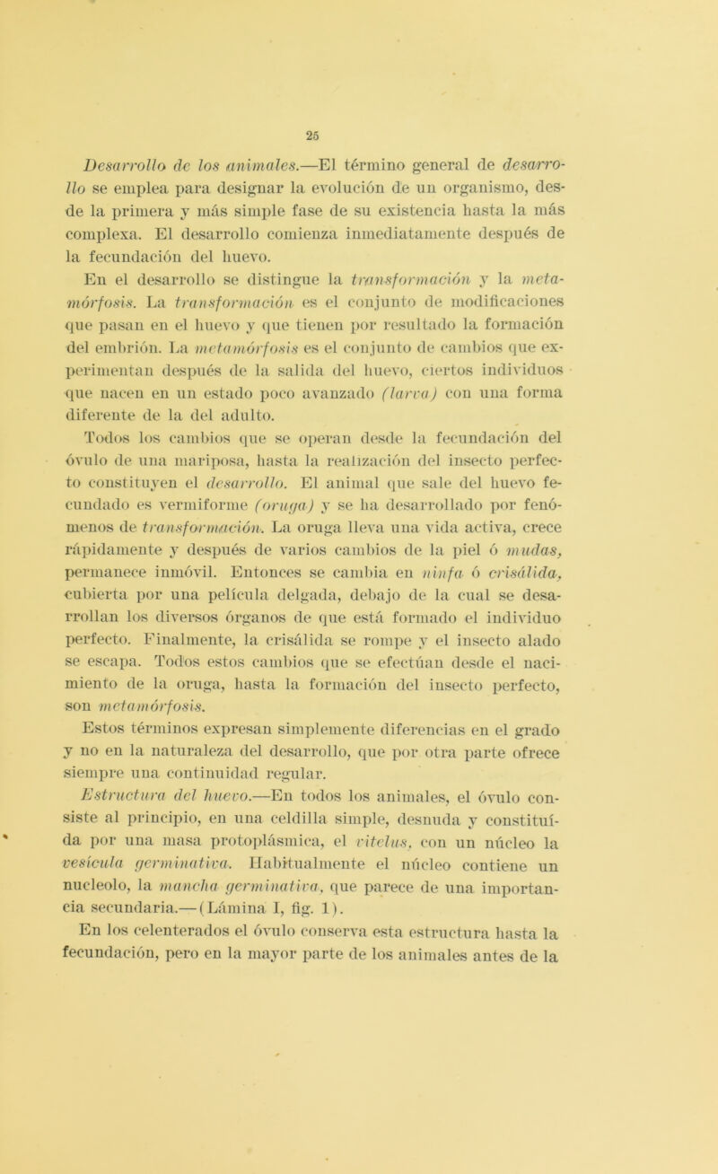 Desarrollo de los animales.—El término general de desarro- llo se emplea para designar la evolución de un organismo, des- de la primera j más simple fase de su existencia hasta la más complexa. El desarrollo comienza inmediatamente después de la fecundación del huevo. En el desarrollo se distingue la transformación j la meta- 7HÓrfosis. La transformación es el conjunto de modificaciones que pasan en el huevo y (pie tienen por resultado la formación del embrión. La metamórfosis es el conjunto de cambios que ex- perimentan después de la salida del huevo, ciertos individuos que nacen en un estado poco avanzado (larra) con una forma diferente de la del adulto. Todos los cambios que se operan d(^sde la fecundación del óvulo de una mariposa, hasta la realización del insecto perfec- to constituyen el desarrollo. El animal que sale del huevo fe- cundado es vermiforme (orufja) y se ha desarrollado por fenó- menos de transformación. La oruga lleva uua vida activa, crece rájiidameute j después de varios cambios de la jiiel ó mudas, permanece inmóvil. Entonces se cambia en ninfa ó crisálida, cubierta por una película delgada, debajo de la cual se desa- rrollan los diversos órganos de que está formado el individuo perfecto. Finalmente, la crisálida se rompe y el insecto alado se escapa. Todos estos cambios que se efectúan desde el naci- miento de la oruga, hasta la formación del insecto perfecto, son meta mórf osis. Estos términos expresan simplemente diferencias en el grado y no en la naturaleza del desarrollo, que por otra parte ofrece siempre uua continuidad regular. Estructura del huevo.—En todos los animales, el óvulo con- siste al principio, en uua celdilla simple, desnuda y constitui- da por una masa protoplásmica, el vitelas, con un núcleo la vesícula f/crminativa. irabitualmente el núcleo contiene un nucléolo, la mancha germinativa, que parece de una importan- cia secundaria.— (Lámina I, fig. 1). En los celenterados el óvulo conserva esta estructura hasta la fecundación, pero en la mayor parte de los animales antes de la
