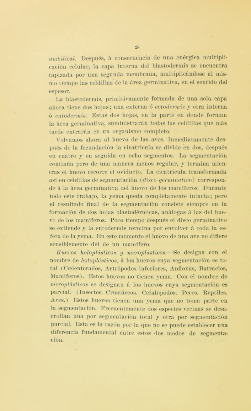 umbilical. Después, á consecuencia de una enérgica iniiltipli- cación celular, la capa interna del blastoderniis se encuentra tupizada por una segunda membrana, multiplicándose al mis- mo tiempo las celdillas'de la área germinativa, en el sentido del espesor. La blastoderniis, primitivamente formada de una sola capa ahora tiene dos hojas; una externa 6 ectodermis j otra interna ó cntodermis. l^lstas dos hojas, en la parte en donde forman la área germinativa, suministrarán todas las celdillas que más tarde entrarán en un organismo completo. Volvamos ahora al huevo de las aves. Inmediatamente des- en cuatro y en seguida en ocho segmentos. La segmentación continúa pero de una manera menos regular, y termina mien- tras el huevo recorre el oviducto. La cicatrícula transformada así en celdillas de segmentación {disco germinativo) correspon- de á la área germinativa del huevo de los mamíferos. Durante todo este trabajo, la yema queda completamente intacta; pero el resultado final de la segmentación consiste siempre en la formación de dos hojas blastodérmicas, análogas á las del hue- vo de los mamíferos. Poco tiempo después el disco germinativo se extiende y la entodermis termina por envolver á toda la es- fera de la venia. En este momento el huevo de una ave no difiere sensiblemente del de un mamífero. Huevos holoplásticos g mcroplásticos.—Se designa con el nombre de holoplásticos, á los huevos cuya segmentación es to- tal (Cmlenterados, Artrópodos inferiores, Anfioxus, Batracios, Mamíferos). Estos huevos no tienen yema. Con el nombre de mcroplásticos se designan á los huevos cuya segmentación es parcial. (Insectos, (hmstáceos. Cefalópodos. Peces. Reptiles. Aves.) Estos Imevos tienen una yema que no toma parte en la segmentación. Frecuentemente dos especies vecinas se desa- rrollan una por segmentación total y otra por segmentación parcial. Esta es la razón ])or la que no se puede establecer una diferencia fundamental entre estos dos modos de segmenta- ción.