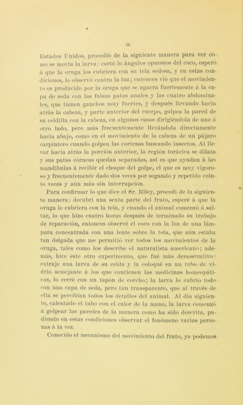 Estados Unidos, procedió de la siguiente manera para ver có- mo se movía la larva: cortó lo ángulos opuestos del coco, esperó á (pie la oruga los cubriera con su tela sedosa, y en estas con- diciones, lo observe) contra la luz; entonces vió (pie el movimien- to es producido por la oruga (jiie se agarra fuertemente á la ca- l>a de seda con las falsas patas anales y las cuatro abdomina- les, (lue tienen ganchos muy fuertes, y después llevando hacia atrás la cabeza, y parte anterior del cuerjx), golpea la jiared de su celdilla con la cabeza, en algunos casos dirigiéndola de uno á otro lado, pero más frecuentemente llevándola directamente hacia abajo, como en el movimiento de la cabeza de un pájaro carpintero cuando golpea las cortezas l>uscando insectos. Al lle- var hacia atrás la porción anterior, la región torácica se dilata y sus patas córneas (piedan separadas, así (pie ayudan á las mandíbulas á recibir el cho(iue del golpc^, el (pie (^s muy vigoro- so y frecuentemente dado dos veces ijor segundo y repetido vein- te veces y aún más sin interrupción. Para confirmar lo que dice el ísr. liiley, procedí de la siguien- te manera: decubrí una sexta parte del fruto, esperé á que la oruga lo cubriera con la tela, y cuando el animal comenzó á sal- tar, lo que hizo cuatro horas después de terminado su trabajo de reparación, entonces obser\é el coco con la luz de una lám- para concentrada con una lente sobre la tela, que aún (‘staba tan delgada que me permitió ver todos los movimientos de la oruga, tales como los describe el naturalista americano ; ade- más, hice este otro experimento, que fué más demostrativo: extraje una larva de su celda y la coloqué en un tubo de vi- drio semejante á los que contienen las medicinas homeoi)áti- cas, lo cerré con un tapón de corcho; la larva lo cubrió todo con una capa de seda, jtero tan transparente, que al través de (día se percibían todos los detalles del animal. Al día siguien- te, calentado el tubo con el calor de la mano, la larva comenzó a golpear las pared(‘s de la manera como ha sido descrita, po- diendo en estas condiciones observar el fenómeno varias perso- nas á la vez. Conocido el mecanismo d(d movimiento del fruto, ya podemos
