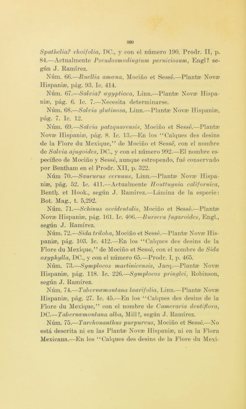 Spatheliaf rlioifolia, DC., y con el número 190. Prodr. II, ¡o. 84.—Actualmente Pseudosrnodingium perniciosum, Eiigl? se- gún J. Eamírez. Núm. 66.—ItuelUa mnwna, Mociño et Sessé.—Plantan Novnp Hispaniae, pág. 93. Ic. 414. Núm. 67.—Salviaf wgyptiaca, Linn.—Plantíc Novíc Hispa- nia', pág. 6. Ic. 7.—Necesita determinarse. Núm. 68.—Salvia glutinosa, Linn.—Planta Nova Hisi^ania, pág. 7. Ic. 12. Núm. 69.—Salvia- patzquarensis, IMociño et Sesse.—Planta Nova Ilispania, pág. 8. Ic. 13.:—En los “Calques des desins de la Flore du Mexique,” de Mociño et Sessé, con el nombre de Salvia ajngoides, I)C., y con el número 992.—El nombre es- pecífico de Mociño y Sessé, aunque estropeado, fué conservado por Bentliam en el Prodr. XII, p. 322. Núm 70.—Sau-runts cernuus, Linn.—Planta Nova Ilispa- nia, pág. 52. Ic. 411.—Actualmente Ilouttugnia californica, Bentú. et Hook., según J. Ramírez.—Lámina de la especie: Bot. Mag., t. 5,292. Núm. 71.—Schinus occidentalis, Mociño et Sessé.—Planta Nova Hispania, pág. 161. Ic. 406.—Bursera fagaroides, Engl., según J. Ramírez. Núm. 72.—Sida trüoha, Mociño et Sessé.—Planta Nova Ilis- pania, pág. 103. Ic. 412.—En los “Calques des desins de la Flore du Mexique,” de Mociño et Sessé, con el nombre de Sida oxypJiylla, 1)C., y con el número 65.—Prodr. I, p. 465. Núm. 73.—Symplocos martinicensis, Jacq.—Planta Nova Ilispania, pág. 118. Ic. 226.—Symplocos pringlei, Robinson, según J. Ramírez. Núm. 74.—Tabernwmon-tana- laurifolía, Linn.—Planta Nova Ilispania, pág. 27. Ic. 45.—En los “Calques des desins de la Flore du Mexique,” con el nombre de Cameraria dentiflora, DC.—Tahernwmontana alba, MilL, según J. Ramírez. Núm. 75.—Tarchonanthus purpureus, Mociño et Sessé.—No está descrita ni en las Plantan Nova Ilispania, ni en la Flora Mexicana.—En los “Calques des desins de la Flore du INlexi-