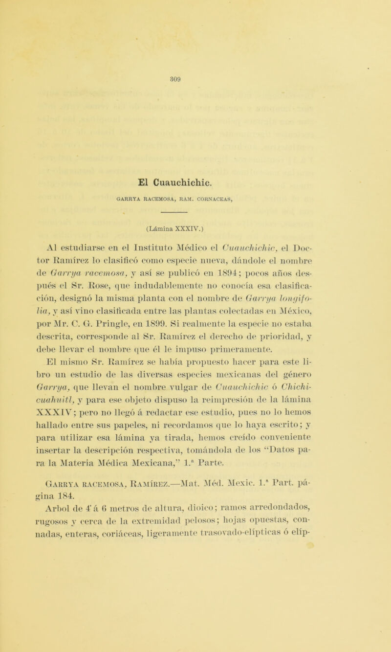El Cuauchichic. GARRYA RACEMOSA, RAM. CORNACEAS, (Lámina XXXIV.) Al estudiarse en el Instituto Médico el Cuauchichic, el Doc- tor Kaniírez lo clasiftcó como especie nueva, dándole el nond)re de Garrija racemoHa, j así se ])ul)lic6 en 1894; jiocos años des- })ués el Sr. Kose, (jue indudablemente no conocía esa clasifica- ción, designó la misma planta con el nombre de (Jarri/u loiii/ifo- Ua, y así vino clasiñcada entre las plantas colectadas en ^léxico, por Mr. C. G. Pringle, en 1809. Si realmente la es}KM-i(‘ no estaba descrita, corresponde al Sr. Ramírez el deriK-ho d(* prioridad, y debe llevar el nombre (pie él le impuso primeramente. El mismo Sr. Ramírez se había ])ropn(^sto hac(m para este li- bro nii estudio de las diversas especies mexicanas del género (hirrija, que llevan el nombre vulgar de Cuauchichic ó Chichi- ciuihuitl, y para ese objeto dispuso la rídnipresión de la lámina XXXIV; pero no llegó á redactar (‘se estudio, pues no lo liemos liallado entre sus papeles, ni r(H‘ordanios que lo haya escrito; y liara utilizar esa lámina ya tirada, hemos creído conveniente insertar la descripción respectiva, tomándola de los “Datos pa- ra la Materia Médica Mexicana,’' l.’^ Parte. Gaurya RACEMOSA, RAMÍREZ.—Mat. Méd. M(xic. 1. Part. pá- gina 184. Arbol de 4'á ti metros de altura, dioico; ramos arredondados, rugosos y cerca de la extremidad ]ielosos; hojas opuestas, con- nadas, enteras, coriáceas, ligeramente trasovado-elípticas ó elíp-