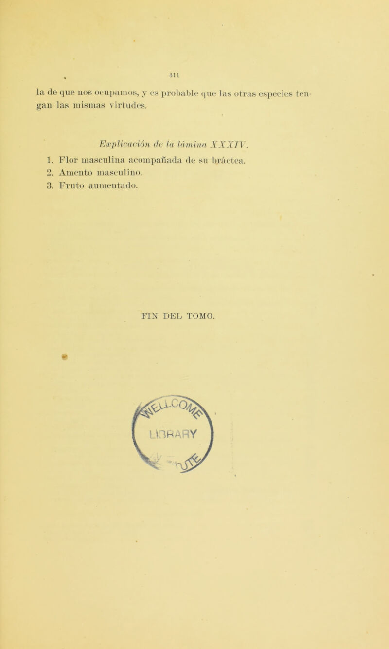 r la de (|ue nos ocuiiaiuos, a* (*s jirobable (jue las otras especies ten- gan las inisnias Airtndes. ExpUvución (Je Ja Ji'tmína \ XXI\ . 1. Flor inascnlina acompañada de sn bráctea. 2. Amento mascnlino. 3. Fruto anmentado. FIN DEL d’OMO.