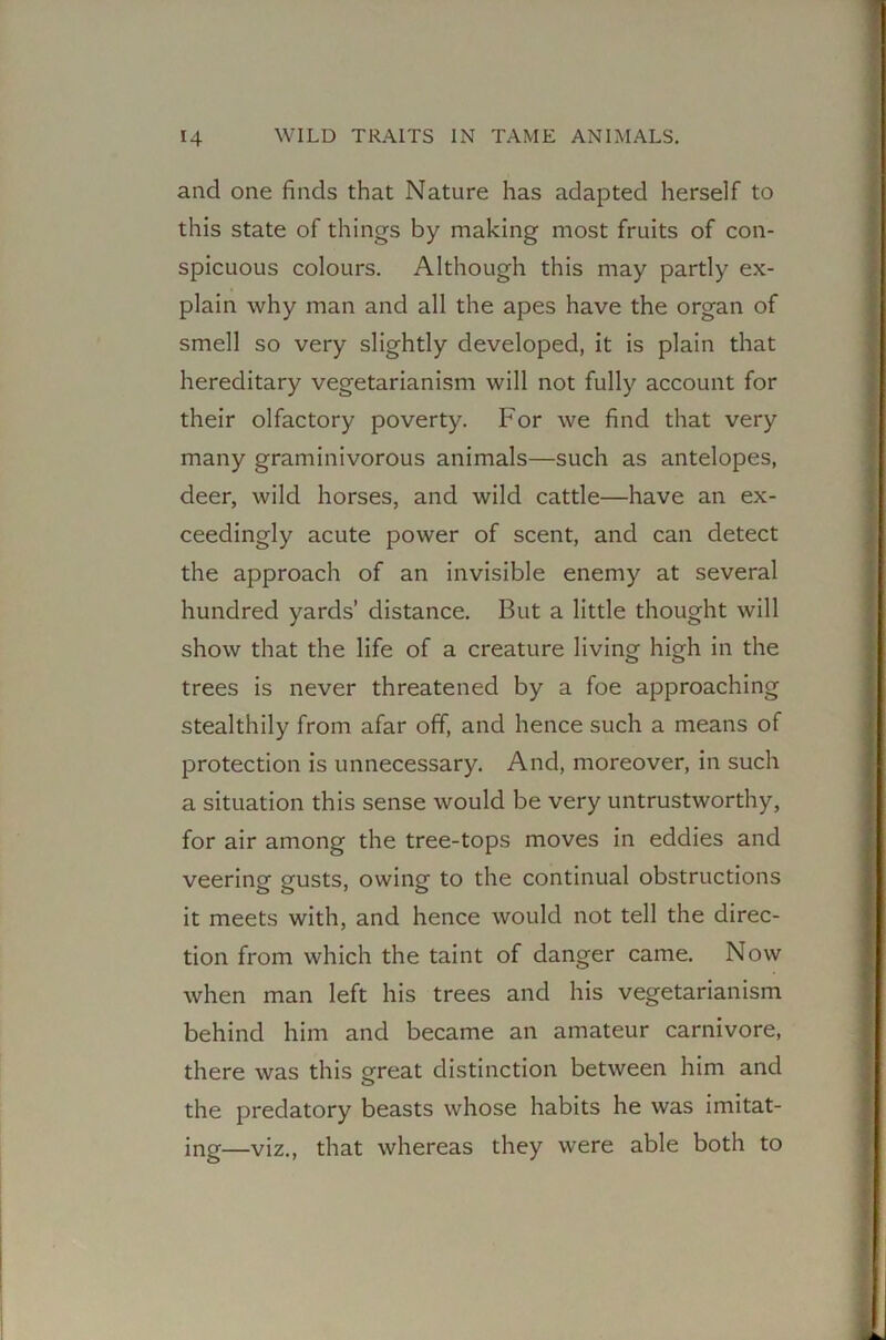and one finds that Nature has adapted herself to this state of things by making most fruits of con- spicuous colours. Although this may partly ex- plain why man and all the apes have the organ of smell so very slightly developed, it is plain that hereditary vegetarianism will not fully account for their olfactory poverty. For we find that very many graminivorous animals—such as antelopes, deer, wild horses, and wild cattle—have an ex- ceedingly acute power of scent, and can detect the approach of an invisible enemy at several hundred yards’ distance. But a little thought will show that the life of a creature living high in the trees is never threatened by a foe approaching stealthily from afar off, and hence such a means of protection is unnecessary. And, moreover, in such a situation this sense would be very untrustworthy, for air among the tree-tops moves in eddies and veering gusts, owing to the continual obstructions it meets with, and hence would not tell the direc- tion from which the taint of danger came. Now when man left his trees and his vegetarianism behind him and became an amateur carnivore, there was this great distinction between him and the predatory beasts whose habits he was imitat- ing—viz., that whereas they were able both to