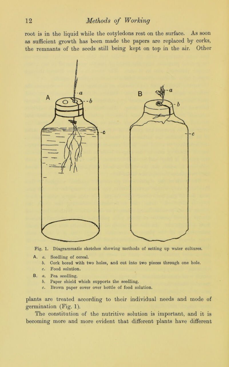 root is in the liquid while the cotyledons rest on the surface. As soon as sufficient growth has been made the papers are replaced by corks, the remnants of the seeds still being kept on top in the air. Other Fig. 1. Diagrammatic sketches showing methods of setting up water cultures. A. a. Seedling of cereal. b. Cork bored with two holes, and cut into two pieces through one hole. c. Food solution. B. a. Pea seedling. b. Paper shield which supports the seedling. c. Brown paper cover over bottle of food solution. plants are treated according to their individual needs and mode of germination (Fig. 1). The constitution of the nutritive solution is important, and it is becoming more and more evident that different plants have different