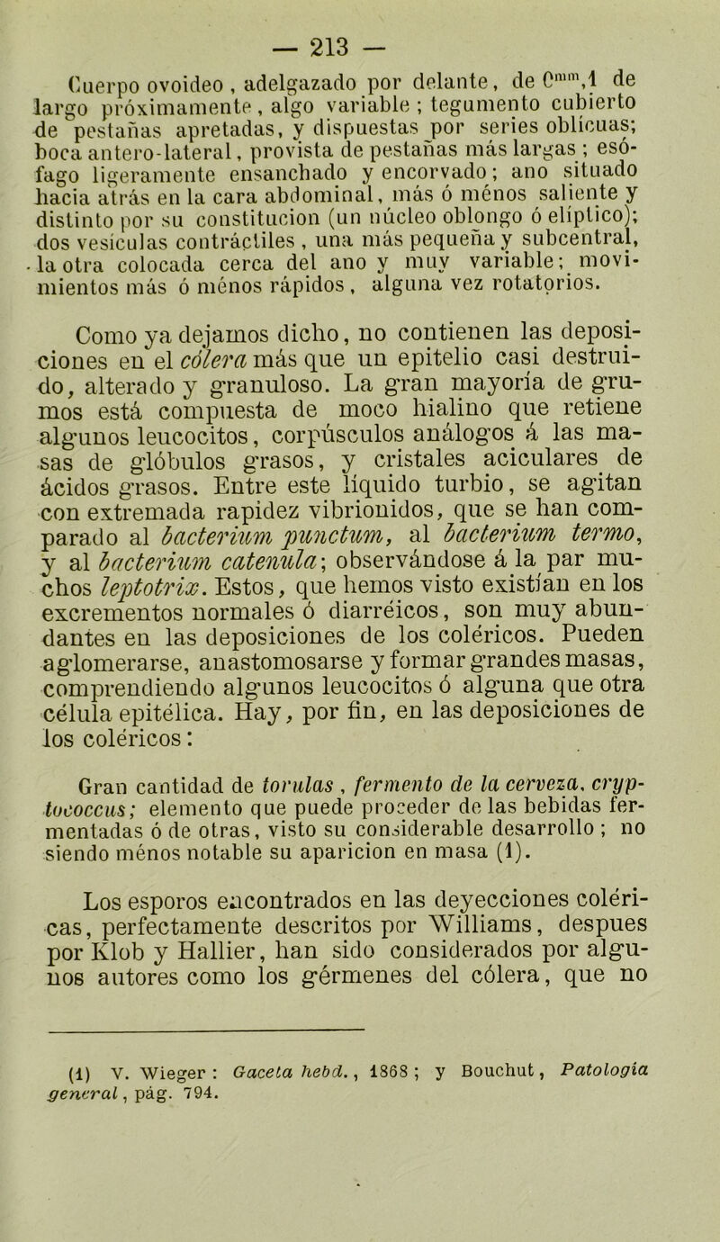 Cuerpo ovoideo , adelgazado por delante, de de largo prôximamente, algo variable ; tegumento cubierto de pestanas apretadas, y dispuestas por sériés oblicuas; bocaantero-lateral, provista de pestanas mâslargas ; esô- fago ligeramente ensanchado y encorvado ; ano situado hacia atrâs en la cara abdominal, inâs ô inénos saliente y dislinlo por sa constitaoion (un nùcleo oblongo ô eliptico); dos vesiculas contractiles , una mâs pequenay subcentral, -laotra colocada cerca del ano y muy variable; movi- mientos mâs ô ménos rapides, alguna vez rotatorios. Como ya dejamos diclio, no contienen las deposi- ciones en el côlevci mâs que un epitelio casi destrui- do, altéra do y granuloso. La g'ran mayoria de gr\i- mos estâ compuesta de moco hialino que retiene alg'unos leucocitos, corpuscules anâlogos â las ma- sas de giôbulos grasos, y cristales aciculares de âcidos grasos. Entre este liquido turbio, se agitan con extremada rapidez vibrionidos, que se lian corn- parado al bacterium punetnm, al bacterium termo^ y al bactermm catenula; observàndose â la par mu- chos leptotHx. Estes, que heinos visto existlan en los excrementos normales ô diarréicos, son muy abun- dantes en las deposiciones de los coléricos. Pueden agiomerarse, anastomosarse y formar grandes masas, comprendiendo algunos leucocitos 6 alguna que otra célula epitélica. Hay, por fin, en las deposiciones de los coléricos ; Gran cantidad de iorulas , fermento de la cerveza, cryp- iococciis; elemento que puede procéder de las bebidas fer- mentadas ô de otras, visto su considérable desarrollo ; no siendo ménos notable su aparicion en masa (1). Los esporos eacontrados en las deyecciones coléri- cas, perfectamente descritos por Williams, despues por Klob y Hallier, han sido considerados por algu- nos autores como los gérmenes del côlera, que no (1) V. Wieger ; Gacelahebd., 1868; y Bouchut, Patologia general ^ 794.