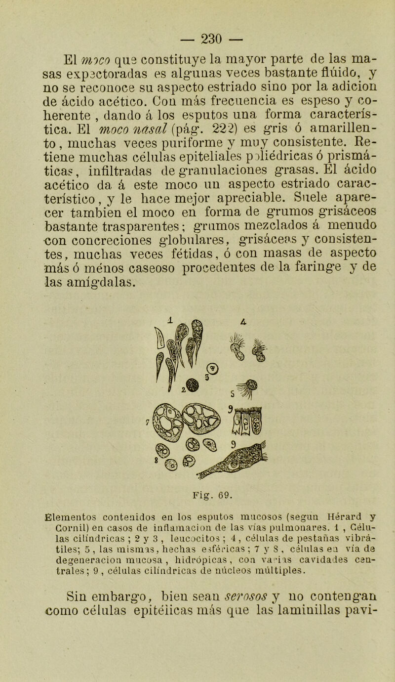 El mico qus constituye la mayor parte de las ma- sas expactoradas es alg*uaas veces bastante flùido, y no se recoQoce su aspecto estriado sino por la adicion de âcido acético. Cou mas freciiencia es espeso y co- hérente , dando a los esputos una forma caracteris- tica. El moco nasal (pâg*. 222) es g*ris ô_ amarillen- to, miichas veces puriforme y muy consistente. Re- tiene miichas cëlulas epiteliales paliédrieas ô prismâ- ticas, infiltradas de g'raniilacioues gfrasas. El âcido acético da â este moco uu aspecto estriado carac- teristico, y le hace mejor apreciable. Suele apare- cer tambien el moco en forma de g*rumos g*risâceos bastante trasparentes ; gTumos mezclados â menudo <îon concreciones gdobulares, g*risâceas 3^ cousisten- tes, muchas veces fétidas, ô con masas de aspecto mâs 6 ménos caseoso procedentes de la fariug'e 3’ de las amig'dalas. Fig. 69. Eleinentos contenidos en los esputos mucosos (segun Herard y Gornil) en casos de inflamacion de las vias pulnionares. 1 , Célu- las cilindricas ; 2 y 3 , leucocitos ; 4 , células de pestanas vibrâ- tiles; 5 , las misnias, bêchas esféiûcas ; 7 y 8 , células en via de degeneracion mucosa , hidcôpicas, con va ûis cavidades cen- trales; 9 , células cilindricas de uùcleos multiples. Sin embargfo, bien seau serosos y no conteug'an como células epitéiicas mâs que las lamiuillas pavi-
