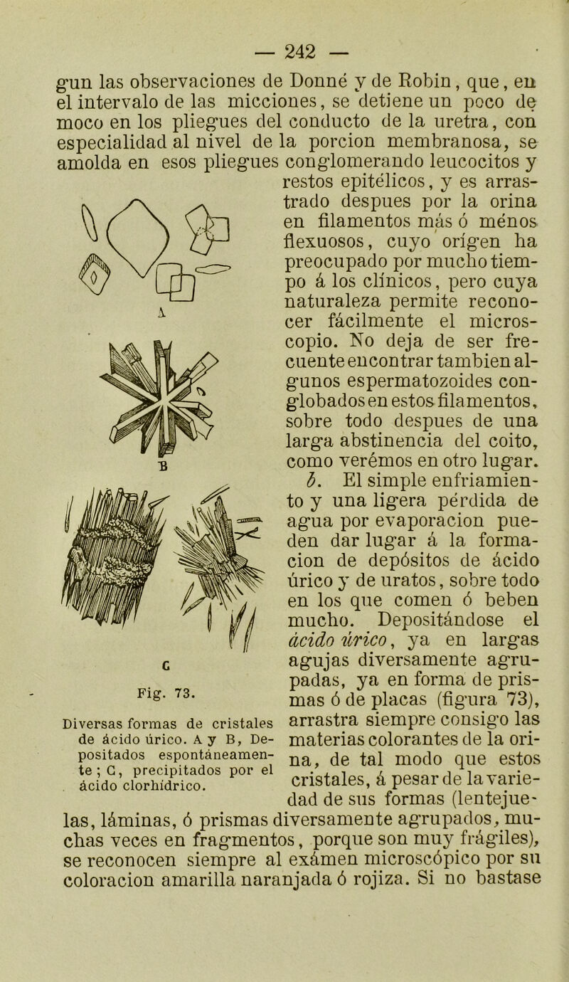 gun las observaciones de Donné y de Robin, que, en el intervalo de las micciones, se detiene un poco de moco en los pliegues del conducto de la uretra, con especialidad al nivel de la porcion membranosa, se amolda en esos pliegues conglonierando leucocitos y restes epitélicos, y es arras- trado despues por la orina en filamentos mâs ô mènes flexuosos, cuyo ’ origen ha preocupado por mucho tiem- po â los clinicos, pero cuya naturaleza permite recono- cer fâcilmente el micros- copie. No déjà de ser fre- cuente encontrar tambien al- gunos espermatozoides con- globados en estes filamentos, sobre todo despues de una larga abstinencia del coito, como yerémos en otro lugar. h. El simple enfriamien- to y una ligera pérdida de agua por evaporacion pue- den dar lugar â la forma- cion de depôsitos de âcido ùrico y de uratos, sobre todo en los que comen 6 beben mucho. Depositândose el àcido ûrico, ya en largas agujas diversamente agru- padas, y a en forma de pris- mas 6 de plaças (figura 73), Diversas formas de cristaies arrastra siempre consigo las de âcido ürico. A y B, De- materias colorantes de la ori- positados espontâneamen- modo que estOS cristales, â pesarde lavarie- dad de sus formas (lentejue' las, lâminas, ô prismas diversamente agrupados, mu- chas veces en fragmentes, porque son muy frâgiles), se reconocen siempre al exâmen microscôpico por su coloracion amarilla naranjada ô rojiza. Si no bastase