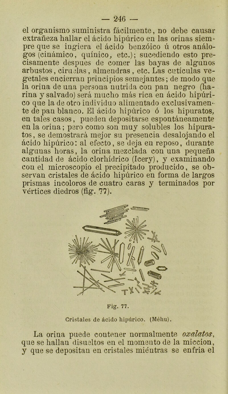 el organismo siiministra fâcilmente, no clebe causai* extraüeza liallar el âciclo hipùrico en las orinas siem- pre que se ing*iera el âcido benzôico ù otros anâlo- g*os (cinâmico, quinico, etc.); sucediendo esto pre- cisamente despues de corner las bayas de alg*unos arbustos, cirualas , almendras , etc. Las cnticulas vé- gétales encierran principios semejantes; de modo que la orina de una persona uutrida con pan negro (ha- rina y salvado) sera niiiclio mâs rica en âcido hipùri- co que la de otro individuo alimentado exclusivamen- te de pan blauco. El âcido hipùrico ô los hipuratos, en taies casos, puedeu depositarse espontâneamente en la orina; pero como son muy solubles los hipura- tos, se demostrarâ mejor su presencia desalojando el âcido hipùrico: al efecto, se déjà eu repose, durante alguuas horas, la orina mezclada con una pequena cantidad de âcido clorhidrico (Icery), y examinando cou el microscopie el precipitado prodacido, se ob- servan cristales de âcido hipùrico en forma de largos prismas incolores de cuatro caras y terminados por vértices diedros (fig. 77). La orina puede contener normalmente oxalatos, que se hallau disueltos eu el momeiito de la miccion, y que se depositan en cristales miéutras se enfria el Fig. 77. Cristales de âcido hipùrico. (Méhu).