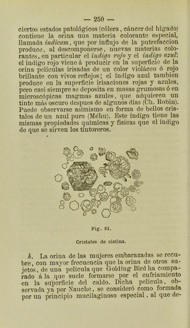 ciertos estados patolôg’icos (cèlera, câncerdel hig*adoj contiene la orina uiia materia colorante especial, llamada indiccm, que por influjo de la putrefaccion produce, al descomponerse, nuevas materias colo- rantes,, en particLilar el indigo rojo y el indigo azwl\ el indigo rojo viene â producir en la superficie de la orina peliculas irisadas de un color violâceo ô rojo brillante con vivos reflejos ; el indigo azul tambien produce en la superficie irisaciones rojas y azules, pero casi siempre se deposita en masas grumosas ô en microscôpicas magmas azules, que adquieren un tinte mas oscuro despues de algunos dias (Ch. Robin). Puede observarse asimismo en forma de belles cris- taies de un azul puro (Méhu). Este indigo tiene las mismas propiedades quimicas y fisicas que el indigo de que se sirven los tintoreros. 11. La orina de las mujeres embarazadas se recu- bre, con mayor frecuencia que la orina de otros su- jetos, de una pelicula que Golding Bird ha compa- rado â la que suele formarse por el enfriamiento en la superficie del caldo. Dicha pelicula, ob- servada ya por Nauche, se considéré como formada por un principio mucilaginoso especial, al que de- Fig. 81. Cristales de cistina.