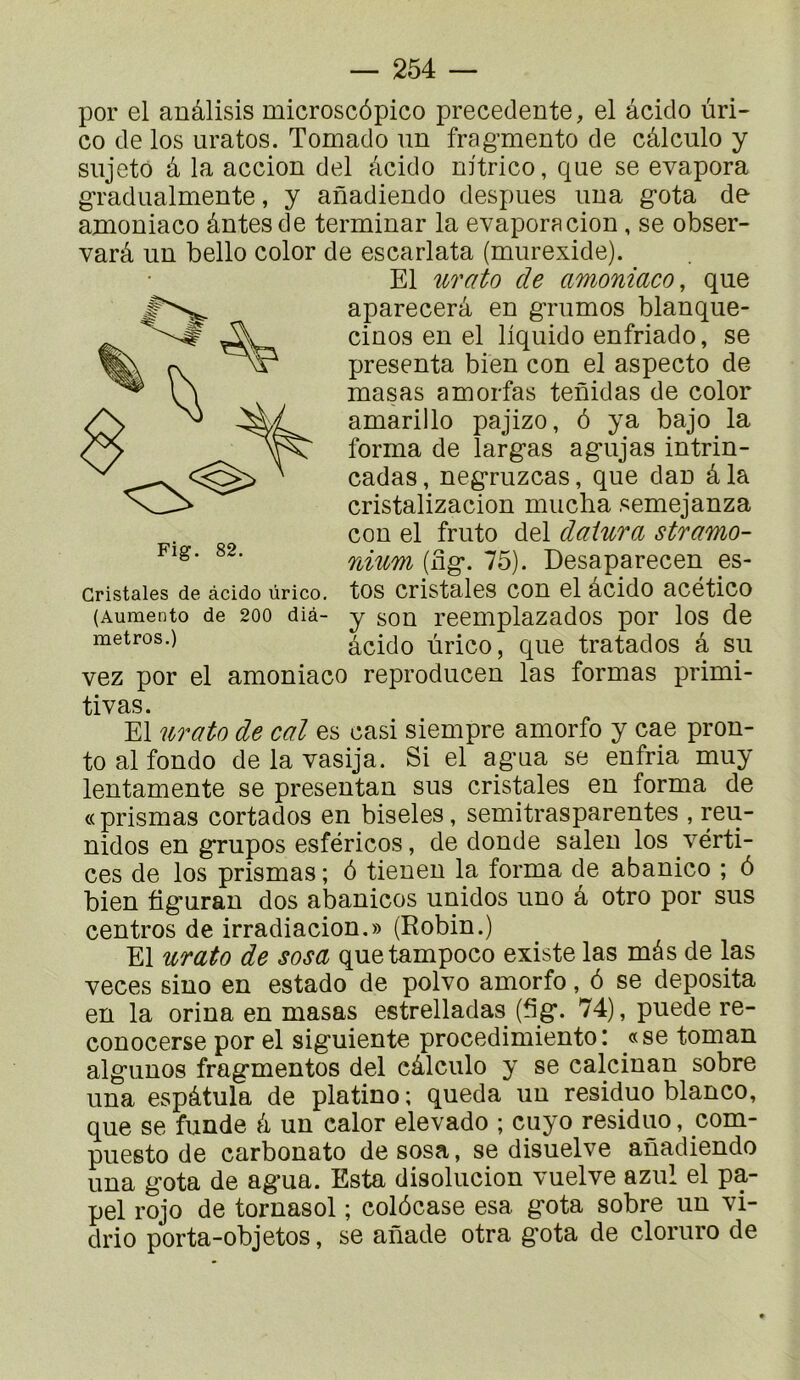 por el anâlisis microscôpico precedente, el âcido ùri- CO de los uratos. Tomado un fragmente de câleulo y siijeto â la accion del àcido nitrico, que se évapora gTadualmente, y anadiendo despiies iina gota de amoniaco ântes de terminar la évaporacion, se obser- varâ un belle color de escarlata (murexide). El urato de amoniaco, que aparecerâ en grumes blanque- cinos en el liquide enfriado, se présenta bien con el aspecto de masas amorfas tenidas de color amarillo pajizo, 6 ya bajo la forma de largas agujas intrin- cadas, negruzeas, que dan â la cristalizacion mucha semejanza con el fruto del daiura stramo- nium (iîg. 75). Desaparecen es- tes cristales con el âcido acético (Aumento de 200 dià- y son reemplazados por los de âcido ùrico, que tratados â su vez por el amoniaco reproducen las formas primi- Cristales de àcido ürico. tivas. El urato de cal es casi siempre amorfo y cae pron- to al fonde de la vasija. Si el agua se enfria muy lentamente se presentan sus cristales en forma de « prismas cortados en biseles, semitrasparentes , reu- nidos en grupos esféricos, de donde salen los vérti- ces de los prismas ; â tienen la forma de abanico ; ô bien figuran dos abanicos unidos uno â otro por sus centres de irradiacion.» (Robin.) El urato de sosa quetempoco existe las mâs de las veces sino en estado de polvo amorfo, ô se deposita en la orina en masas estrelladas (5g. 74), puede re- conocerse por el siguiente procedimiento: «se toman algunos fragmentes del càlculo y se calcinan sobre una espâtula de platino ; queda un residuo blanco, que se funde â un calor elevado ; cuyo residuo, com- puesto de carbonate de sosa, se disuelve anadiendo una gota de agua. Esta disolucion vuelve azul el pa- pel rojo de tornasol ; colôcase esa gota sobre un vi- drio porta-objetos, se ailade otra gota de cloruro de