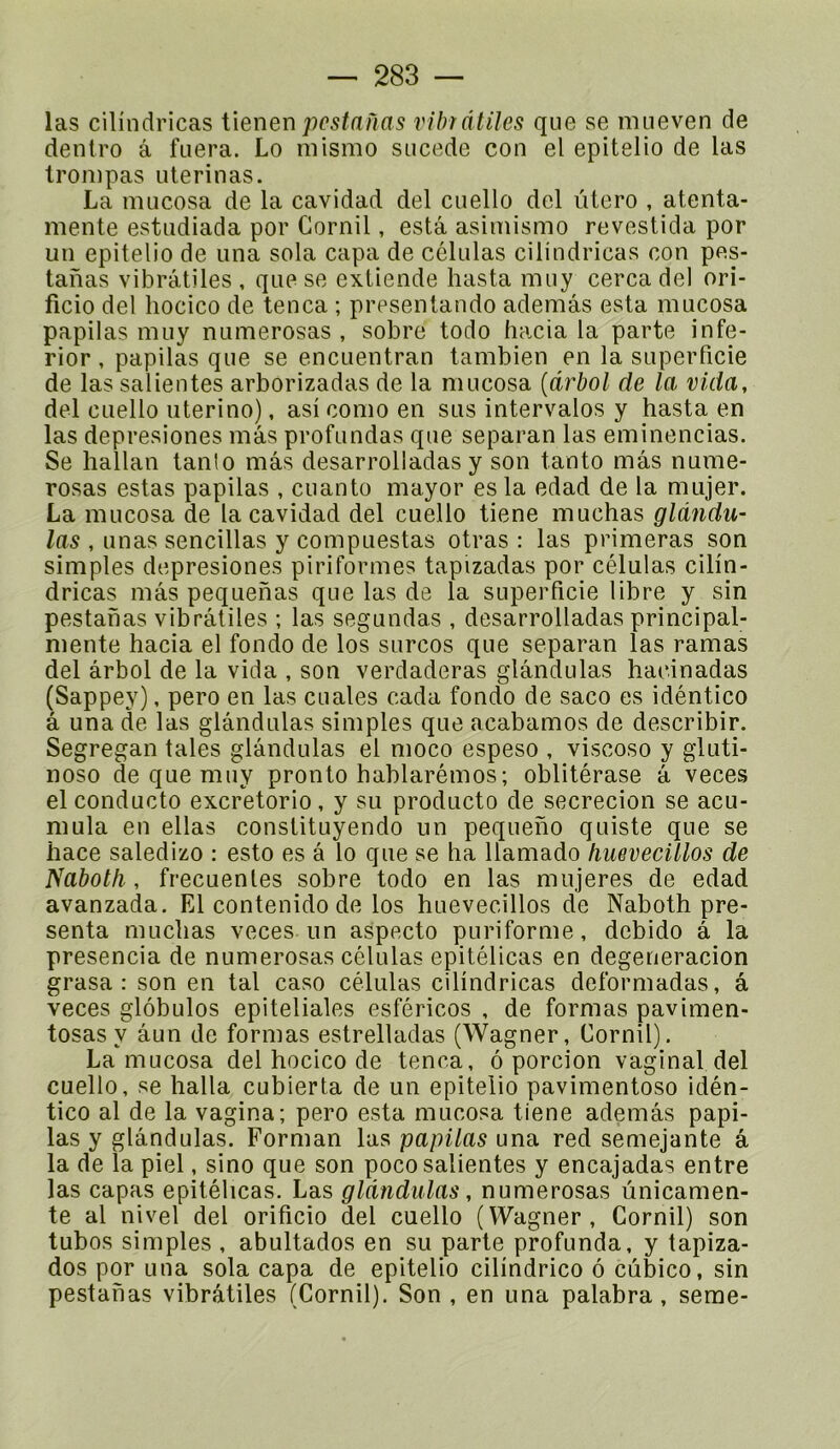 las cilindricas iienen pesta nas vihïâtiles que se mueven de dentro â fuera. Lo mismo siicede con el epitelio de las trompas iiterinas. La mucosa de la cavidad del ciiello dcl iitero , atenta- mente estiidiada por Cornil, esta asimismo revestida por un epitelio de iina sola capa de células cilindricas con pes- tanas vibrâtiles , que se extiende hasta muy cerca del ori- ficio del lîocico de tenca ; presentando ademâs esta mucosa papilas muy numerosas , sobre todo hacia la parte infe- rior , papilas que se encuentran tambien en la superficie de las salientes arborizadas de la mucosa [ârbol de la vida, del cuello uterino), asi como en sus intervalos y hasta en las depresiones mas profundas que separan las eminencias. Se hallan tanlo mâs desarrolladas y son tanto mas nume- rosas estas papilas , cuanto mayor es la edad de la mujer. La mucosa de la cavidad del cuello tiene muchas gldndu- las , unas sencillas y compuestas otras : las primeras son simples depresiones piriformes tapizadas por células cilin- dricas mâs pequehas que las de la superficie libre y sin pestahas vibrâtiles ; las segundas , desarrolladas principal- meute hacia el fonde de los surcos que separan las ramas del ârbol de la vida , son verdaderas glândulas hacinadas (Sappey), pero en las cuales cada fonde de saco es idéntico â una de las glândulas simples que acabamos de describir. Segregan taies glândulas el moco espeso , viscose y gluti- noso de que muy pronto hablarémos; oblitérase â veces el conducto excretorio, y su producto de secrecion se acu- mula en ellas constituyendo un pequeno quiste que se hace saledizo : este es â lo que se ha llamado fiuevecillos de Naboth, frecuenles sobre todo en las mujeres de edad avanzada. El contenido de los huevecillos de Naboth pré- senta muchas veces un aspecto puriforme, debido â la presencia de numerosas células epitélicas en degeneracion grasa : son en tal caso células cilindricas deformadas, â veces glôbulos epiteliales esféricos , de formas pavimen- tosas y âun de formas estrelladas (Wagner, Cornil). La mucosa del hocico de tenca, ô porcion vaginal del cuello, se halla cubierta de un epitelio pavimentoso idén- tico al de la vagina; pero esta mucosa tiene ademâs papi- las y glândulas. Forman las papilas una red semejante â la de la piel, sino que son poco salientes y encajadas entre las capas epitélicas. Las glândulas, numerosas ûnicamen- te al nivel del orificio del cuello (Wagner, Cornil) son tubos simples , abultados en su parle profunda, y tapiza- dos por una sola capa de epitelio cilindrico 6 cùbico, sin pestahas vibrâtiles (Cornil). Son , en una palabra, seme-