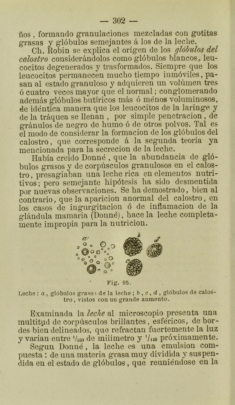 nos , formando granulaciones mezcladas cou gotitas grasas y g*lôbulos semejantes â los de la leclie. Gli. Robin se explica el orig'en de los glôbulos del calostro considerândolos como glôbulos biancos,. leu- cocitos degenerados y trasformados. Siempre que los leucocitos permanecen mucho tiempo inmôviles, pa- san al estado granuloso y adquieren un volùmen très ô cuatro veces mayor que el normal ; conglomerando ademâs glôbulos butiricos mâs ô ménos voluminosos, de idéntica manera que los leucocitos de la lariuge y de la trâquea se llenan , por simple penetracion , de grânulos de negro de humo ô de otros polvos. Tal es el modo de considérai* la formacion de los glôbulos del calostro, que corresponde^ â la segunda teoria ya mencionada para la secrecion de la leche. Habia creido Donné , que la abundancia de glô- bulos grasos y de corpùsculos granulosos en el calos- tro, presagiaban una leche rica enelementos nutri- tivos; pero semejante hipôtesis ha sido desmentida por nuevas observaciones. Se ha demostrado, bien al contrario, que la aparicion anormal del calostro, en los casos de ingurgitacion ô de inflamacion de la glândula mamaria (Donné), hace la leche completa- mente impropia para la nutricion. Fig. 95. Leche : a, glôbulos grasos de la leche \ b , c ^ d ^ glôbulos de calos- tro , vistos con un grande aumento. Examinada la leche al microscopio présenta una multitpd de corpùsculos brillantes , esféricos, de bor- des bien delineados, que réfractai! fnerteniente la luz y varian entre Vsoo de miiimetro y Vuo prôximamente. Segun Donné , la leche es una émulsion com- puesta : de una materia grasamuy dividida y suspen- dida en el estado de glôbulos , que reuuiéndose en la