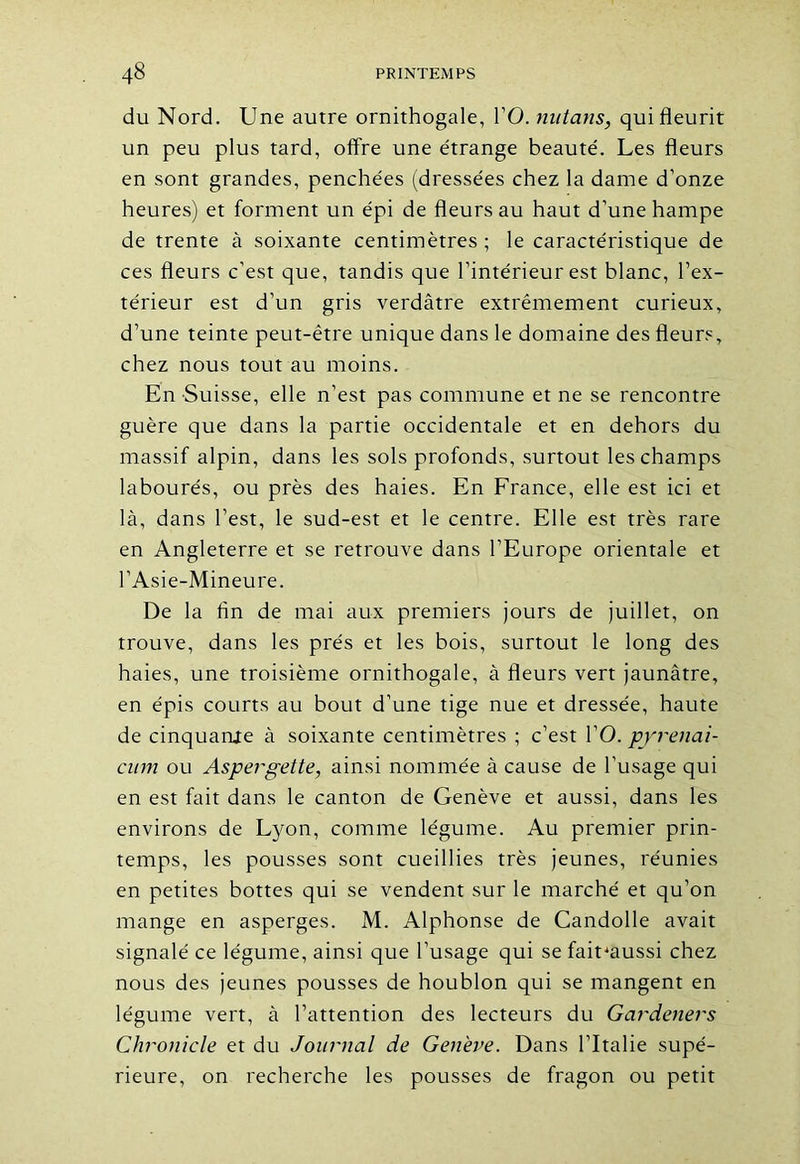 du Nord. Une autre ornithogale, l’O. nutans, qui fleurit un peu plus tard, offre une étrange beauté. Les fleurs en sont grandes, penchées (dressées chez la dame d’onze heures) et forment un épi de fleurs au haut d’une hampe de trente à soixante centimètres ; le caractéristique de ces fleurs c’est que, tandis que l’intérieur est blanc, l’ex- térieur est d’un gris verdâtre extrêmement curieux, d’une teinte peut-être unique dans le domaine des fleurs, chez nous tout au moins. En Suisse, elle n’est pas commune et ne se rencontre guère que dans la partie occidentale et en dehors du massif alpin, dans les sols profonds, surtout les champs labourés, ou près des haies. En France, elle est ici et là, dans l’est, le sud-est et le centre. Elle est très rare en Angleterre et se retrouve dans l’Europe orientale et l’Asie-Mineure. De la An de mai aux premiers jours de juillet, on trouve, dans les prés et les bois, surtout le long des haies, une troisième ornithogale, à fleurs vert jaunâtre, en épis courts au bout d’une tige nue et dressée, haute de cinquante à soixante centimètres ; c’est l’O. pyrenai- cum ou Aspevgette, ainsi nommée à cause de l’usage qui en est fait dans le canton de Genève et aussi, dans les environs de Lyon, comme légume. Au premier prin- temps, les pousses sont cueillies très jeunes, réunies en petites bottes qui se vendent sur le marché et qu’on mange en asperges. M. Alphonse de Candolle avait signalé ce légume, ainsi que l’usage qui se fait'aussi chez nous des jeunes pousses de houblon qui se mangent en légume vert, à l’attention des lecteurs du Gardeners Chronicle et du Journal de Genève. Dans l’Italie supé- rieure, on recherche les pousses de fragon ou petit