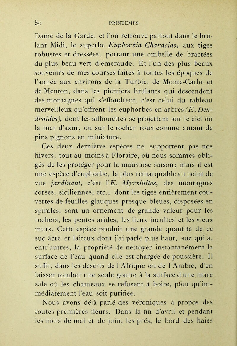 Dame de la Garde, et l’on retrouve partout dans le brû- lant Midi, le superbe Enphorbia Cliaracias, aux tiges robustes et dressées, portant une ombelle de bractées du plus beau vert d’émeraude. Et l’un des plus beaux souvenirs de mes courses faites à toutes les époques de l’année aux environs de la Turbie, de Monte-Carlo et de Menton, dans les pierriers brûlants qui descendent des montagnes qui s’effondrent, c’est celui du tableau merveilleux qu’offrent les euphorbes en arbres (E. Den- droides), dont les silhouettes se projettent sur le ciel ou la mer d’azur, ou sur le rocher roux comme autant de pins pignons en miniature. Ces deux dernières espèces ne supportent pas nos hivers, tout au moins à Floraire, où nous sommes obli- gés de les protéger pour la mauvaise saison ; mais il est une espèce d’euphorbe, la plus remarquable au point de vue jardinant, c’est VE. Myrsinites, des montagnes corses, siciliennes, etc., dont les tiges entièrement cou- vertes de feuilles glauques presque bleues, disposées en spirales, sont un ornement de grande valeur pour les rochers, les pentes arides, les lieux incultes et les vieux murs. Cette espèce produit une grande quantité de ce suc âcre et laiteux dont j'ai parlé plus haut, suc qui a, entr’autres, la propriété de nettoyer instantanément la surface de l’eau quand elle est chargée de poussière. Il suffit, dans les déserts de l’Afrique ou de l’Arabie, d’en laisser tomber une seule goutte à la surface d’une mare sale où les chameaux se refusent à boire, pbur qu’im- médiatement l’eau soit purifiée. Nous avons déjà parlé des véroniques à propos des Toutes premières fleurs. Dans la fin d’avril et pendant les mois de mai et de juin, les prés, le bord des haies