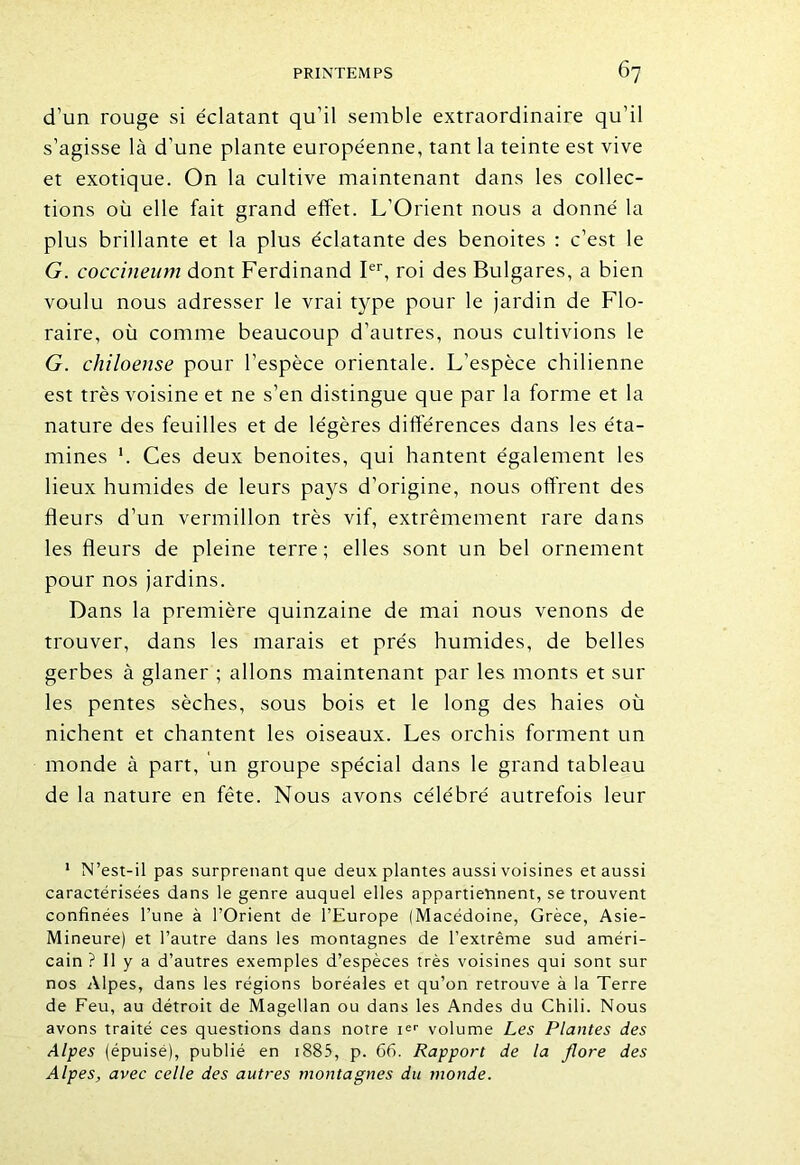 d’un rouge si éclatant qu’il semble extraordinaire qu’il s’agisse là d’une plante européenne, tant la teinte est vive et exotique. On la cultive maintenant dans les collec- tions où elle fait grand effet. L’Orient nous a donné la plus brillante et la plus éclatante des benoites : c’est le G. coccineum dont Ferdinand Ier, roi des Bulgares, a bien voulu nous adresser le vrai type pour le jardin de Flo- raire, où comme beaucoup d’autres, nous cultivions le G. chiloense pour l’espèce orientale. L’espèce chilienne est très voisine et ne s’en distingue que par la forme et la nature des feuilles et de légères différences dans les éta- mines *. Ces deux benoites, qui hantent également les lieux humides de leurs pays d’origine, nous offrent des fleurs d’un vermillon très vif, extrêmement rare dans les fleurs de pleine terre; elles sont un bel ornement pour nos jardins. Dans la première quinzaine de mai nous venons de trouver, dans les marais et prés humides, de belles gerbes à glaner ; allons maintenant par les monts et sur les pentes sèches, sous bois et le long des haies où nichent et chantent les oiseaux. Les orchis forment un monde à part, un groupe spécial dans le grand tableau de la nature en fête. Nous avons célébré autrefois leur 1 N’est-il pas surprenant que deux plantes aussi voisines et aussi caractérisées dans le genre auquel elles appartiennent, se trouvent confinées l’une à l’Orient de l’Europe (Macédoine, Grèce, Asie- Mineure) et l’autre dans les montagnes de l’extrême sud améri- cain ? Il y a d’autres exemples d’espèces très voisines qui sont sur nos Alpes, dans les régions boréales et qu’on retrouve à la Terre de Feu, au détroit de Magellan ou dans les Andes du Chili. Nous avons traité ces questions dans notre ier volume Les Plantes des Alpes (épuisé), publié en 1885, p. 66. Rapport de la flore des Alpes, avec celle des autres montagnes du monde.