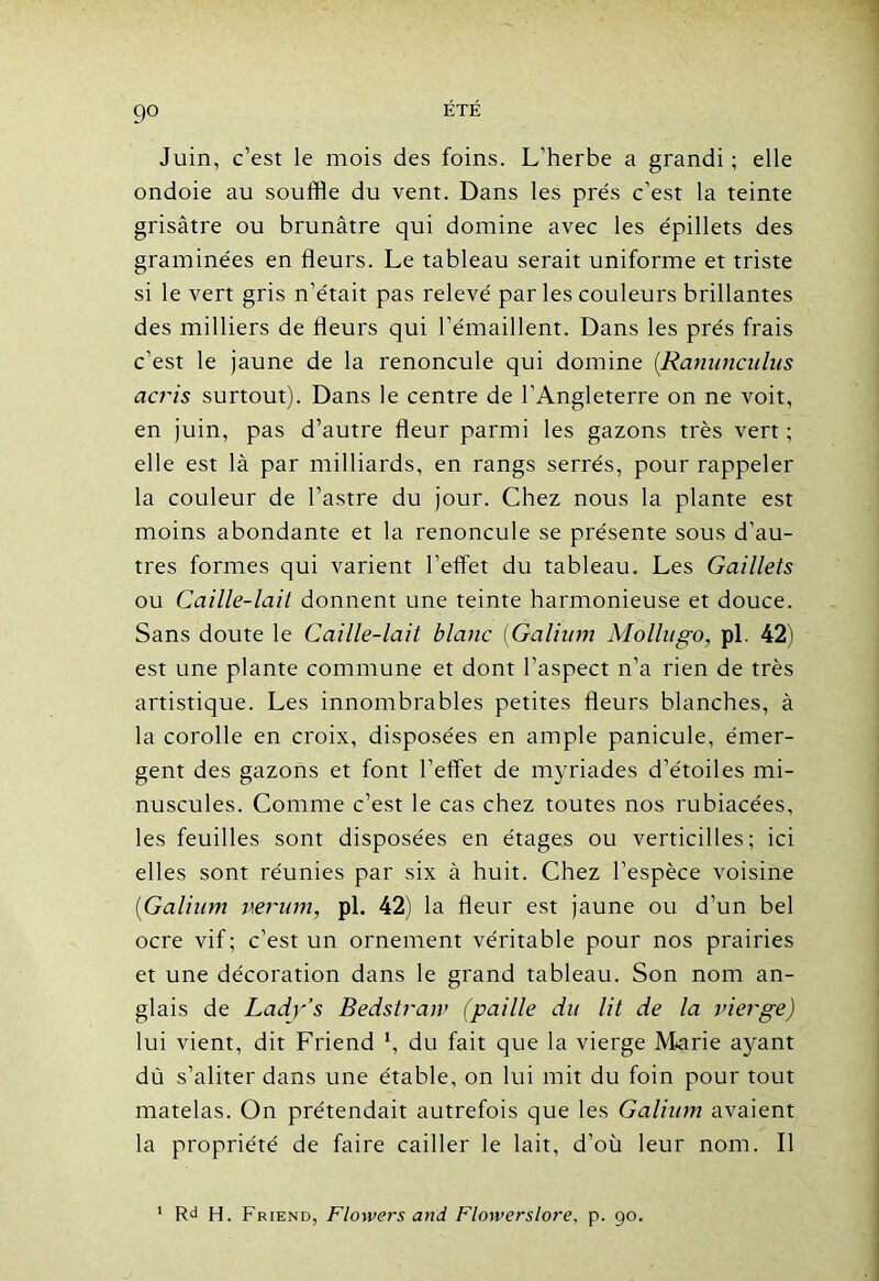 9° Juin, c’est le mois des foins. L’herbe a grandi ; elle ondoie au souffle du vent. Dans les prés c’est la teinte grisâtre ou brunâtre qui domine avec les épillets des graminées en fleurs. Le tableau serait uniforme et triste si le vert gris n’était pas relevé par les couleurs brillantes des milliers de fleurs qui l’émaillent. Dans les prés frais c’est le jaune de la renoncule qui domine (.Ranunculus acris surtout). Dans le centre de l’Angleterre on ne voit, en juin, pas d’autre fleur parmi les gazons très vert; elle est là par milliards, en rangs serrés, pour rappeler la couleur de l’astre du jour. Chez nous la plante est moins abondante et la renoncule se présente sous d’au- tres formes qui varient l’effet du tableau. Les Gaillets ou Caille-lait donnent une teinte harmonieuse et douce. Sans doute le Caille-lait blanc (Galium Mollugo, pl. 42) est une plante commune et dont l’aspect n’a rien de très artistique. Les innombrables petites fleurs blanches, à la corolle en croix, disposées en ample panicule, émer- gent des gazons et font l’effet de myriades d’étoiles mi- nuscules. Comme c’est le cas chez toutes nos rubiacées, les feuilles sont disposées en étages ou verticilles; ici elles sont réunies par six à huit. Chez l’espèce voisine ('Galium verum, pl. 42) la fleur est jaune ou d’un bel ocre vif; c’est un ornement véritable pour nos prairies et une décoration dans le grand tableau. Son nom an- glais de Lady’s Bedstraw (paille du lit de la vierge) lui vient, dit Friend *, du fait que la vierge Marie ayant dû s’aliter dans une étable, on lui mit du foin pour tout matelas. On prétendait autrefois que les Galium avaient la propriété de faire cailler le lait, d’où leur nom. Il