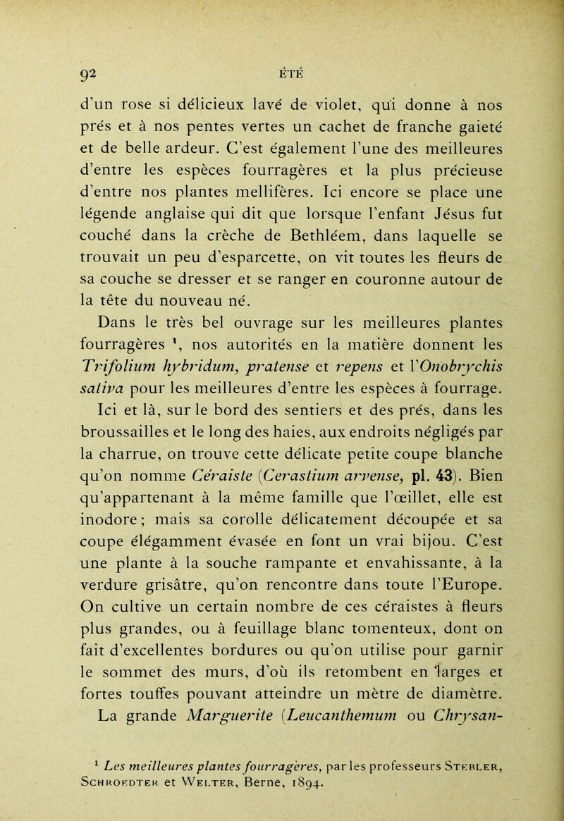 d’un rose si délicieux lavé de violet, qui donne à nos prés et à nos pentes vertes un cachet de franche gaieté et de belle ardeur. C’est également l’une des meilleures d’entre les espèces fourragères et la plus précieuse d’entre nos plantes mellifères. Ici encore se place une légende anglaise qui dit que lorsque l’enfant Jésus fut couché dans la crèche de Bethléem, dans laquelle se trouvait un peu d’esparcette, on vit toutes les fleurs de sa couche se dresser et se ranger en couronne autour de la tête du nouveau né. Dans le très bel ouvrage sur les meilleures plantes fourragères *, nos autorités en la matière donnent les Trifolium hybridum, pratense et repens et 1 ' Onobrychis sativa pour les meilleures d’entre les espèces à fourrage. Ici et là, sur le bord des sentiers et des prés, dans les broussailles et le long des haies, aux endroits négligés par la charrue, on trouve cette délicate petite coupe blanche qu’on nomme Céraiste (Cerastium arvense, pl. 43). Bien qu’appartenant à la même famille que l’oeillet, elle est inodore ; mais sa corolle délicatement découpée et sa coupe élégamment évasée en font un vrai bijou. C’est une plante à la souche rampante et envahissante, à la verdure grisâtre, qu’on rencontre dans toute l'Europe. On cultive un certain nombre de ces céraistes à fleurs plus grandes, ou à feuillage blanc tomenteux, dont on fait d’excellentes bordures ou qu’on utilise pour garnir le sommet des murs, d’où ils retombent en ‘larges et fortes touffes pouvant atteindre un mètre de diamètre. La grande Marguerite (Leucanthemum ou Chrysan- 1 Les meilleures plantes fourragères, par les professeurs Stkbler, Schroedter et Welter, Berne, 1894.
