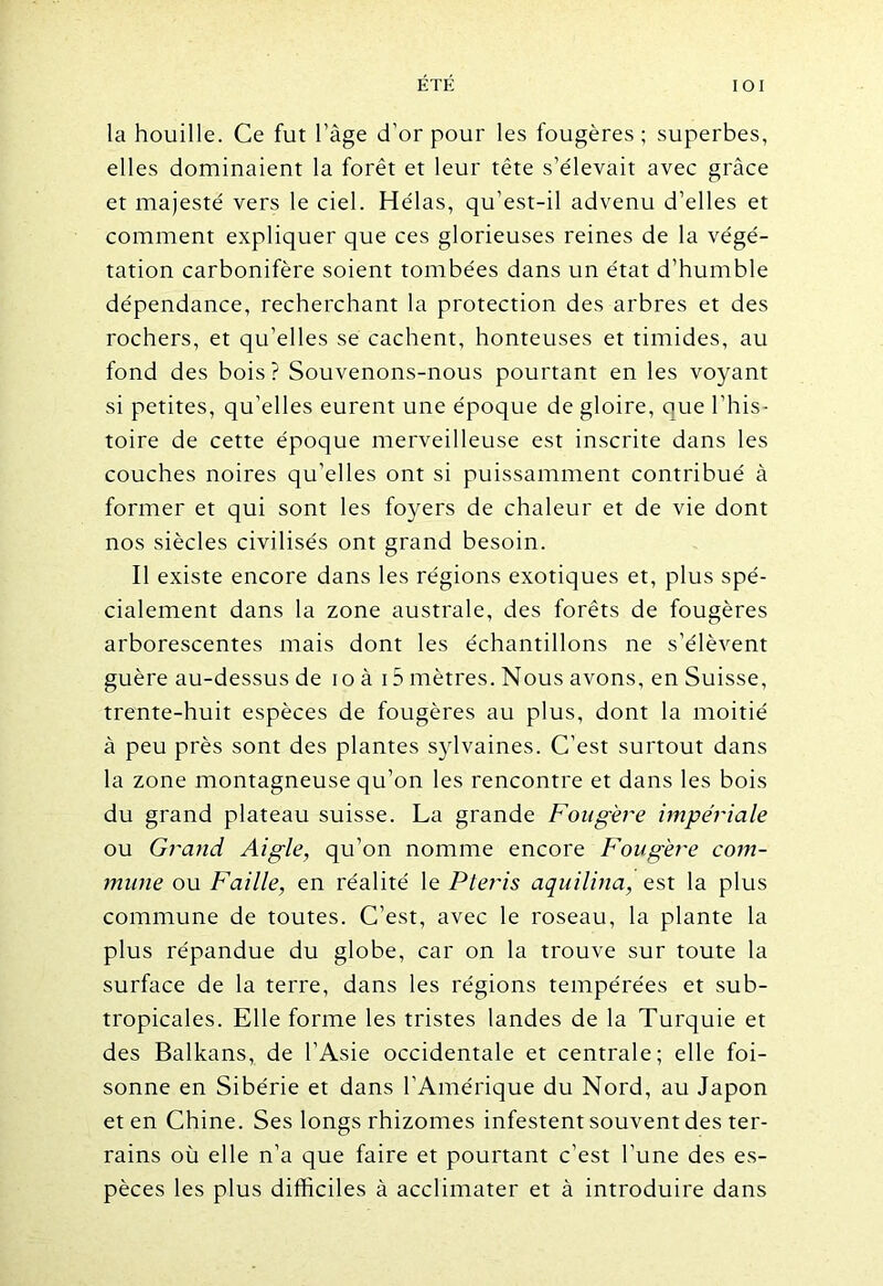 la houille. Ce fut l’âge d’or pour les fougères ; superbes, elles dominaient la forêt et leur tête s’élevait avec grâce et majesté vers le ciel. Hélas, qu’est-il advenu d’elles et comment expliquer que ces glorieuses reines de la végé- tation carbonifère soient tombées dans un état d’humble dépendance, recherchant la protection des arbres et des rochers, et qu’elles se cachent, honteuses et timides, au fond des bois ? Souvenons-nous pourtant en les voyant si petites, qu’elles eurent une époque de gloire, eue l’his- toire de cette époque merveilleuse est inscrite dans les couches noires qu’elles ont si puissamment contribué à former et qui sont les foyers de chaleur et de vie dont nos siècles civilisés ont grand besoin. Il existe encore dans les régions exotiques et, plus spé- cialement dans la zone australe, des forêts de fougères arborescentes mais dont les échantillons ne s’élèvent guère au-dessus de io à i5 mètres. Nous avons, en Suisse, trente-huit espèces de fougères au plus, dont la moitié à peu près sont des plantes sylvaines. C’est surtout dans la zone montagneuse qu’on les rencontre et dans les bois du grand plateau suisse. La grande Fougère impériale ou Grand Aigle, qu’on nomme encore Fougère com- mune ou Faille, en réalité le Pteris aquilina, est la plus commune de toutes. C’est, avec le roseau, la plante la plus répandue du globe, car on la trouve sur toute la surface de la terre, dans les régions tempérées et sub- tropicales. Elle forme les tristes landes de la Turquie et des Balkans, de l’Asie occidentale et centrale; elle foi- sonne en Sibérie et dans l’Amérique du Nord, au Japon et en Chine. Ses longs rhizomes infestent souvent des ter- rains où elle n’a que faire et pourtant c’est l’une des es- pèces les plus difficiles à acclimater et à introduire dans