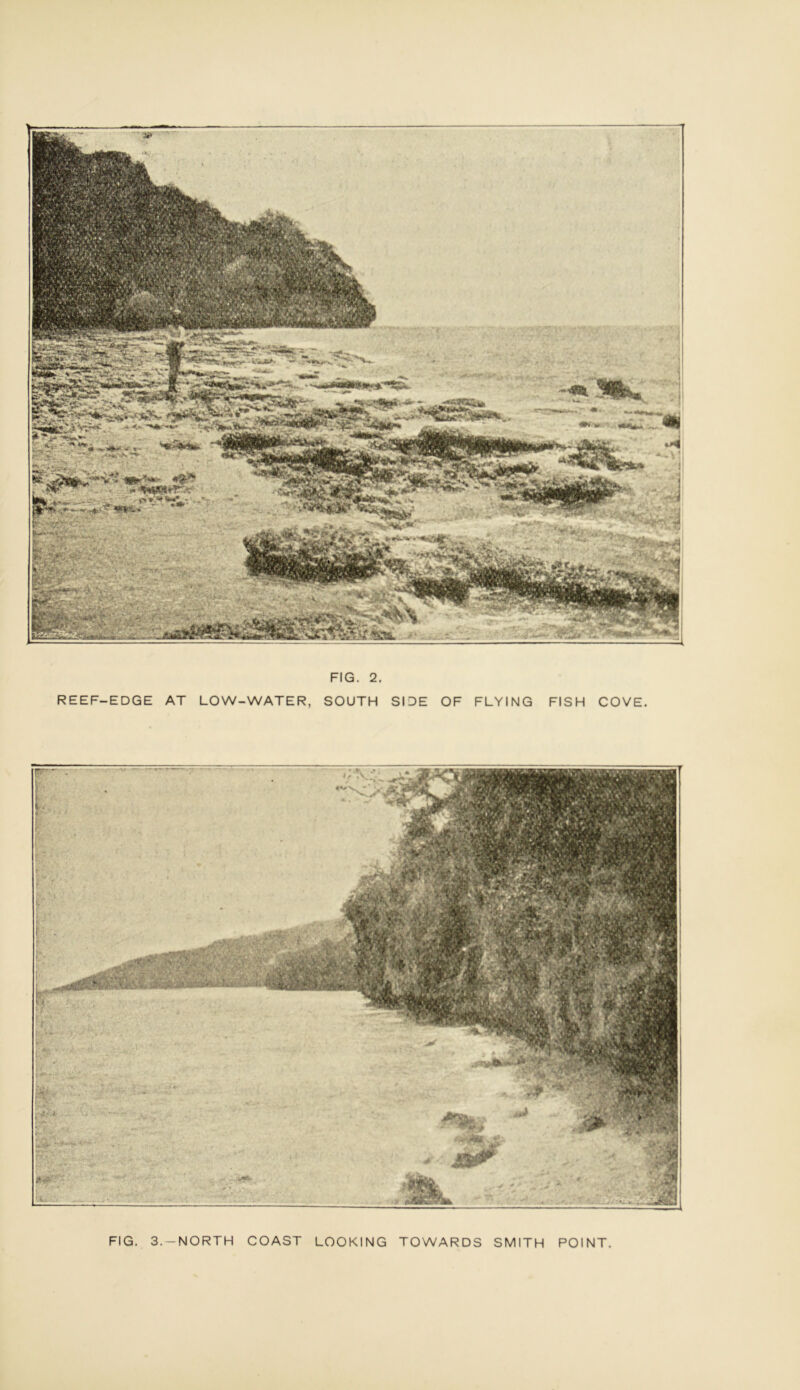 FIG. 2. reef-edge at low-water, south side of flying fish cove. FIG. 3.-NORTH COAST LOOKING TOWARDS SMITH POINT