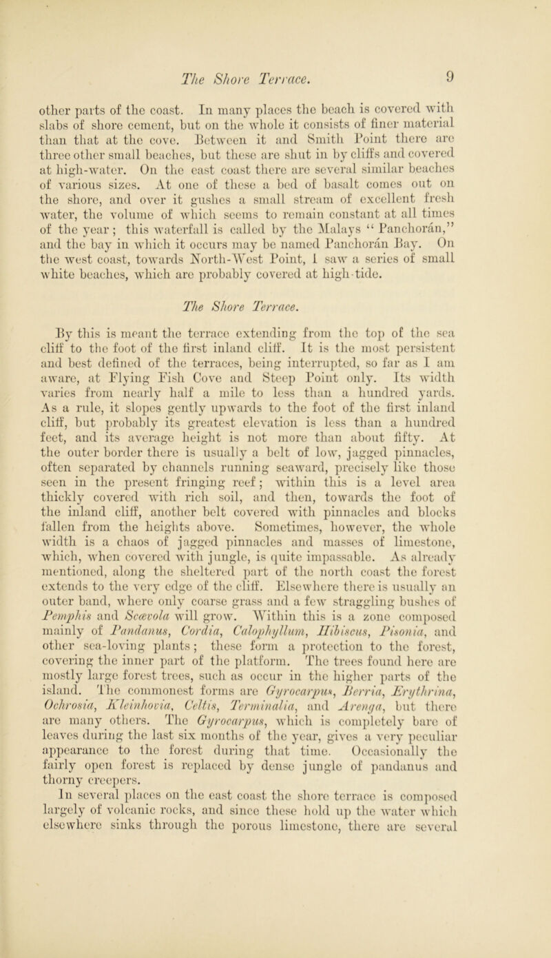 other parts of the coast. In many places the beach is covered with slabs of shore cement, but on the whole it consists of finer material than that at the cove. Between it and Smith Point there are three other small beaches, but these are shut in by cliffs and covered at high-water. On the east coast there are several similar beaches of various sizes. At one of these a bed of basalt comes out on the shore, and over it gushes a small stream of excellent fresh water, the volume of which seems to remain constant at all times of the year; this waterfall is called by the Malays “ Panchoran,” and the bay in which it occurs may be named Panchoran Bay. On the west coast, towards North-West Point, 1 saw a series of small white beaches, which are probably covered at high tide. The Shore Terrace. By this is meant the terrace extending from the top of the sea cliff to the foot of the first inland cliff. It is the most persistent and best defined of the terraces, being interrupted, so far as I am aware, at Flying Fish Cove and Steep Point only. Its width varies from nearly half a mile to less than a hundred yards. As a rule, it slopes gently upwards to the foot of the first inland cliff, but probably its greatest elevation is less than a hundred feet, and its average height is not more than about fifty. At the outer border there is usually a belt of low, jagged pinnacles, often separated by channels running seaward, precisely like those seen in the present fringing reef; within this is a level area thickly covered with rich soil, and then, towards the foot of the inland cliff, another belt covered with pinnacles and blocks fallen from the heights above. Sometimes, however, the whole width is a chaos of jagged pinnacles and masses of limestone, which, when covered with jungle, is quite impassable. As already mentioned, along the sheltered part of the north coast the forest extends to the very edge of the cliff. Elsewhere there is usually an outer band, where only coarse grass and a few straggling bushes of Pemphis and Scccvola will grow. Within this is a zone composed mainly of Tandanus, Cordia, Calophyllum, Hibiscus, Pi son ia, and other sea-loving plants; these form a protection to the forest, covering the inner part of the platform. The trees found here are mostly large forest trees, such as occur in the higher parts of the island. The commonest forms are Gyrocarpu*, Berria, Erythrina, Ochrosia, Kleinhoma, Celtis, Terminalia, and Arenya, but there are many others. The Gyrocarpus, which is completely bare of leaves during the last six months of the year, gives a very peculiar appearance to the forest during that time. Occasionally the fairly open forest is replaced by dense jungle of pandanus and thorny creepers. In several places on the east coast the shore terrace is composed largely of volcanic rocks, and since these hold up the water which elsewhere sinks through the porous limestone, there are several
