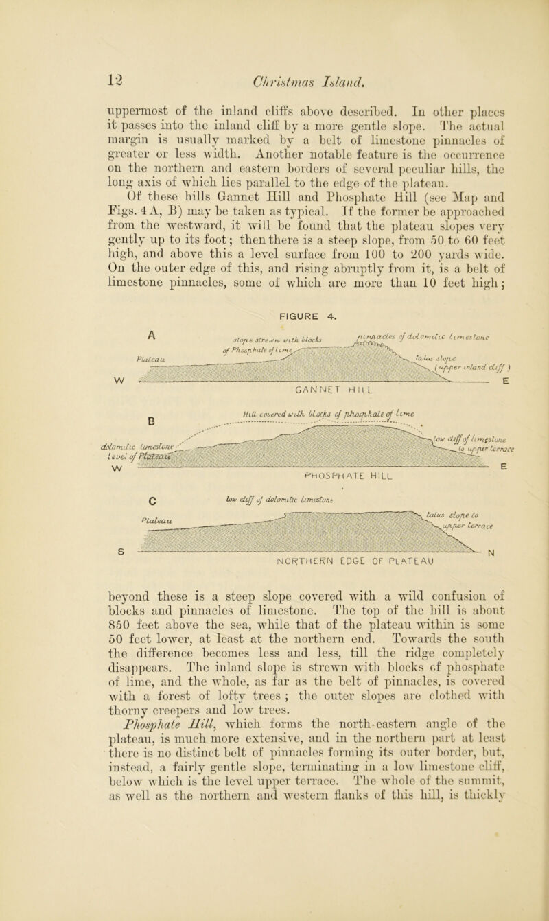 uppermost of the inland cliffs above described. In other places it passes into the inland cliff by a more gentle slope. The actual margin is usually marked by a belt of limestone pinnacles of greater or less width. Another notable feature is the occurrence on the northern and eastern borders of several peculiar bills, the long axis of which lies parallel to the edge of the plateau. Of these hills Gannet Hill and Phosphate Kill (see Map and Pigs. 4 A, B) may he taken as typical. If the former he approached from the westward, it will be found that the plateau slopes very gently up to its foot; then there is a steep slope, from 50 to 60 feet high, and above this a level surface from 100 to 200 yards wide. On the outer edge of this, and rising abruptly from it, is a belt of limestone pinnacles, some of which are more than 10 feet high; FIGURE 4. w A P'oiteau slone strewn, with blocks of Phosphate of ninnacles of dolomvtic limestone —ArOf tCuius sloplC ( ufijier inland cLiff ) GANNET HILL B dolomdic limestone -'f it act of Plat.eau w — Hill covered wdh. Uocks of pJioshhale of lime fow diff of limestone Jo ufifltr terrace PHOSPHATE HILL low dxff of dolomittc limestone beyond these is a steep slope covered with a wild confusion of blocks and pinnacles of limestone. The top of the hill is about 850 feet above the sea, while that of the plateau within is some 50 feet lower, at least at the northern end. Towards the south the difference becomes less and less, till the ridge completely disappears. The inland slope is strewn with blocks cf phosphate of lime, and the whole, as far as the belt of pinnacles, is covered with a forest of lofty trees ; the outer slopes are clothed wflth thorny creepers and low trees. Phosphate Hill, which forms the north-eastern angle of the plateau, is much more extensive, and in the northern part at least there is no distinct belt of pinnacles forming its outer border, but, instead, a fairly gentle slope, terminating in a low limestone cliff, below which is the level upper terrace. The whole of the summit, as well as the northern and western flanks of this hill, is thickly