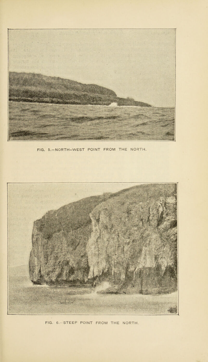 FIG. 5.—NORTH-WEST POINT FROM THE NORTH. FIG. 6.-STEEP POINT FROM THE NORTH.