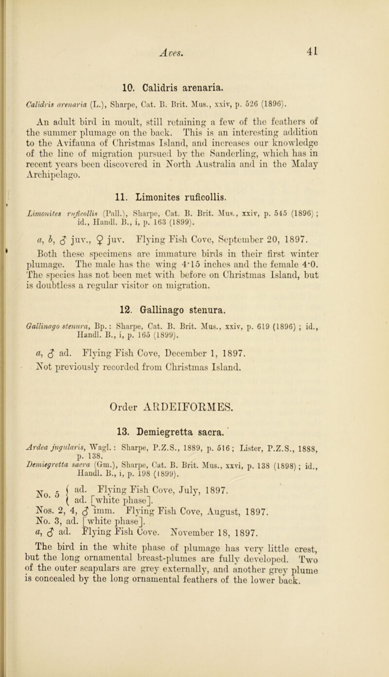 10. Calidris arenaria. Calidris arenaria (L.), Sharpe, Cat. B. Brit. Mus., xxiv, p. 526 (1896). An adult bird in moult, still retaining a few of the feathers of the summer plumage on the back. This is an interesting addition to the Avifauna of Christmas Island, and increases our knowledge of the line of migration pursued by the Sanderling, which has in recent years been discovered in North Australia and in the Malay Archipelago. 11. Limonites ruficollis. Limonites rnficollis (Ball.), Sharpe, Cat. B. Brit. Mus., xxiv, p. 545 (1896); id., Handl. B., i, p. 163 (1899). a, b, (J juv., 9 jUY- Flying Fish Cove, September 20, 1897. Both these specimens are immature birds in their first winter plumage. The male has the wing 4*15 inches and the female 4*0. The species has not been met with before on Christmas Island, but is doubtless a regular visitor on migration. 12. Gallinago stenura. Gallinago stenura, Bp.: Sharpe, Cat. B. Brit. Mus., xxiv, p. 619 (1896) ; id., Handl. B., i, p. 165 (1899). a, (J ad. Flying Fish Cove, December 1, 1897. Not previously recorded from Christmas Island. Order ARDEIFOEMES. 13. Demiegretta sacra. Ardea jugularis, Wagl.: Sharpe, P.Z.S., 1889, p. 516; Lister, P.Z.S., 1888, p. 138. Demiegretta sacra (Gin.), Sharpe, Cat. B. Brit. Mus., xxvi, p. 138 (IS98) ; id., Haudl. B., i, p. 198 (1899). -vrn r ( ad. Flying Fish Cove, July, 1897. ( ad. [white phase]. Nos. 2, 4, <J imm. Flying Fish Cove, August, 1897. No. 3, ad. [white phase]. a, cJ ad. Flying Fish Cove. November 18, 1897. The bird in the white phase of plumage has very little crest, but the long ornamental breast-plumes are fully developed. Two of the outer scapulars are grey externally, and another grey plume is concealed by the long ornamental feathers of the lower back.