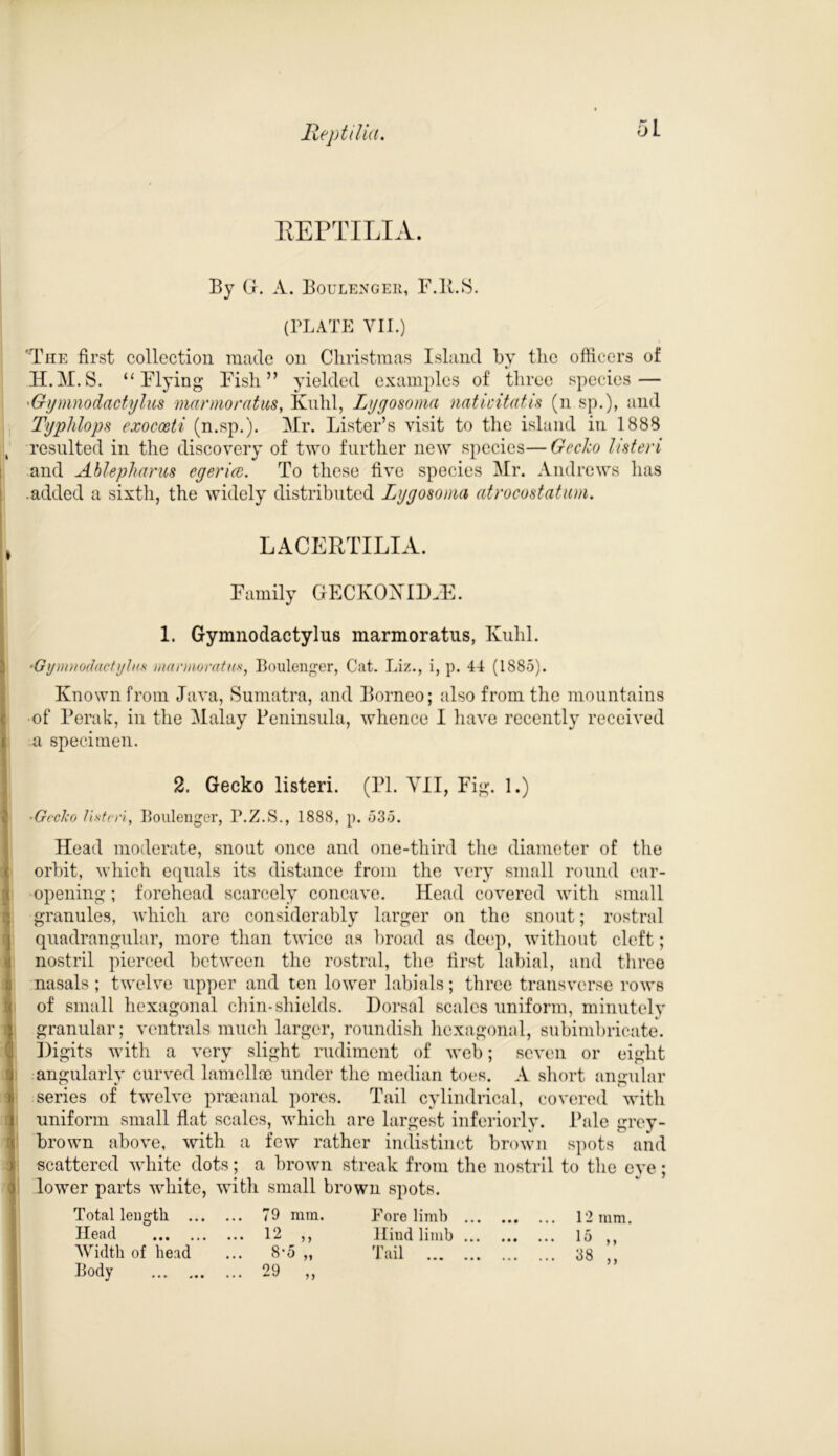 Heptilia. I i i I ! 1 G u i 1 1 ); ) REPTILIA. By G. A. Boulengeh, F.ll.S. (PLATE VII.) The first collection made on Christmas Island by tlic officers of H.M.S. “Flying Fish” yielded examples of three species — 'Gymnodactylus marmoratus, Kuhl, Lygosoma nati vital is (n sp.), and Typhlops exocceti (n.sp.). Mr. Lister’s visit to the island in 1888 resulted in the discovery of two further new species—Gecko listeri and Ablepharus cgericc. To these five species Mr. Andrews has .added a sixth, the widely distributed Lygosoma atrocostatum. LACERTILIA. Family GECKOXIDHE. 1. Gymnodactylus marmoratus, Kuhl. *Gymnodactylus marmoratus, Boulenger, Cat. Liz., i, p. 44 (1885). Known from Java, Sumatra, and Borneo; also from the mountains of Perak, in the Malay Peninsula, whence I have recently received a specimen. 2. Gecko listeri. (PI. VII, Fig. 1.) -Gecko listen, Boulenger, P.Z.S., 1888, p. 535. Head moderate, snout once and one-third the diameter of the orbit, which equals its distance from the very small round ear- opening; forehead scarcely concave. Head covered with small granules, which are considerably larger on the snout; rostral quadrangular, more than twice as broad as deep, without cleft; nostril pierced between the rostral, the first labial, and three nasals; twelve upper and ten lower labials; three transverse rows of small hexagonal chin-shields. Dorsal scales uniform, minutely granular; ventrals much larger, roundish hexagonal, subimbricate. Digits with a very slight rudiment of web; seven or eight angularly curved lamellae under the median toes. A short angular series of twelve pracanal pores. Tail cylindrical, covered with uniform small flat scales, which are largest interiorly. Pale grey- brown above, with a few rather indistinct brown spots and scattered white dots; a brown streak from the nostril to the eye; lower parts white, with small brown spots. Total length ... Head Width of head Body 79 mm. Fore limb 12 „ Hind limb 8-5 „ Tail ... 29 „ 12 mm. 15 ,, 38 „