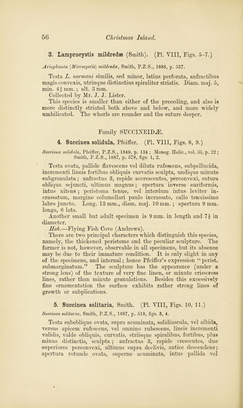 3. Lamprocystis mildredse (Smith). (PL VIII, Figs. 5-7.) Ariophanta (Microcystis) mildredee, Smith, P.Z.S., 1888, p. 537. Testa L. normani similis, seel minor, latius perforata, anfractibus magis convexis, utrinque distinctius spiraliter striatis. Diam. maj. 5, min. 4f mm.; alt. 3 mm. Collected by Mr. J. J. Lister. This species is smaller than either of the preceding, and also is more distinctly striated both above and below, and more widely umbilicated. The whorls are rounder and the suture deeper. Family SUCCIXEIDiE. 4. Succinea solidula, Pfeiffer. (PI. VIII, Figs. 8, 9.) Succinea solidula, Pfeiffer, P.Z.S., 1849, p. 134 ; Monog. Ilelic., vol. iii, p. 22; Smith, P.Z.S., 1887, p. 578, figs. 1, 2. Testa ovata, pallide flavescens vel dilute rufescens, subpellucida, incrementi lineis fortibus obliquis curvatis sculpta, undique minute •subgranulata; anfractus 3, rapide accrescentes, perconvexi, sutura obliqua sejuncti, ultimus magnus; apertura inverse auriformis, intus nitens ; peristoma tenue, vel interdum intus leviter in- crassatum, margine columellari paulo incrassato, callo tenuissimo labro juncto. Long. 13 mm., diam. maj. 10 mm. ; apertura 9 mm. longa, 6 lata. Another small but adult specimen is 9 mm. in length and 7L in diameter. Hah.—Flying Fish Cove (Andrews). There are two principal characters which distinguish this species, namely, the thickened peristome and the peculiar sculpture. The former is not, however, observable in all specimens, but its absence may be due to their immature condition. It is only slight in any of the specimens, and internal; hence Pfeiffer’s expression “perist. submarginatum.” The sculpture has the appearance (under a strong lens) of the texture of very fine linen, or minute crisscross lines, rather than minute granulations. Besides this excessively fine ornamentation the surface exhibits rather strong lines of growth or subplications. 5. Succinea solitaria, Smith. (PI. VIII, Figs. 10, 11.) Succinea solitaria, Smith, P.Z.S., 1887, p. 518, figs. 3, 4. Testa suboblique ovata, supra acuminata, solidiuscula, vel albida, versus apicem rufescens, vel omnino rubescens, lineis incrementi validis, valde obliquis, curvatis, striisque spiralibus, fortibus, plus minus distinctis, sculpta ; anfractus 3, rapide crescentes, duo superiores perconvexi, ultimus supra declivis, antice descendens; apertura rotunde ovata, superne acuminata, intus pallida vel