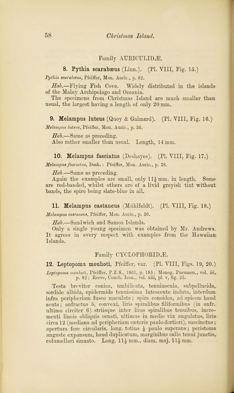 Family AURICULID^. 8. Pythia scarabaeus (Linn.). (PL VIII, Fig. 15.) I Pythia scarabceus, Pfeiffer, Mon. Auric., p. 82. Hah.—Flying Fish Cove. Widely distributed in the islands of the Malay Archipelago and Oceania. The specimens from Christmas Island are much smaller than usual, the largest having a length of only 20 mm. 9. Melampus luteus (Quoy & Gaimard). (PI. VIII, Fig. 16.) Melampus luteus, Pfeiffer, Mon. Auric., p. 36. Hah.—Same as preceding. Also rather smaller than usual. Length, 14 mm. 10. Melampus fasciatus (Deshayes). (PI. VIII, Fig. 17.) Melampus fasciatus, Desh. : Pfeiffer, Mon. Auric., p. 38. Hah.—Same as preceding. Again the examples are small, only 11^ mm. in length. Some are red-banded, whilst others are of a livid greyish tint without hands, the spire being slate-blue in all. 11. Melampus castaneus (Miihlfeldt). (PI. VIII, Fig. 18.) Melampus castaneus, Pfeiffer, Mon. Auric., p. 30. Hah.—Sandwich and Samoa Islands. Only a single young specimen was obtained by Mr. Andrews. It agrees in every respect with examples from the Hawaiian* Islands. Family CYCLOPHOEIDJE. • 12. Leptopoma mouhoti, Pfeiffer, var. (PI. YIII, Figs. 19, 20.) Lcptopoma mouhoti, Pfeiffer, P.Z.S., 1861, p. 185; Monog. Pneumon., vol. iii, p. 82 ; Peeve, Conch. Icon., vol. xiii, pi. v, fig. 25. Testa brevitcr conica, umbilicata, tenuiuscula, subpellucida, sordide albida, epidermide tenuissima lutescente induta, interdum infra peripheriam fusco maculata; spira conoidea, ad apicem baud acuta; anfractus 5, convexi, liris spiralibus filiformibus (in anfr. ultimo circiter 6) striisque inter liras spiralibus tenuibus, incre- menti lineis obliquis ornati, ultimus in medio vix angulatus, liris circa 12 (mediana ad peripheriam cooteris paulo-fortiori), succinctus; apertura fere circularis, long, totius % paulo superans ; peristoma anguste expansum, baud duplicatum, marginibus callo tenui junctis,, columellari sinuato. Long. 11^ mm., diarn. maj. 11^ mm. .