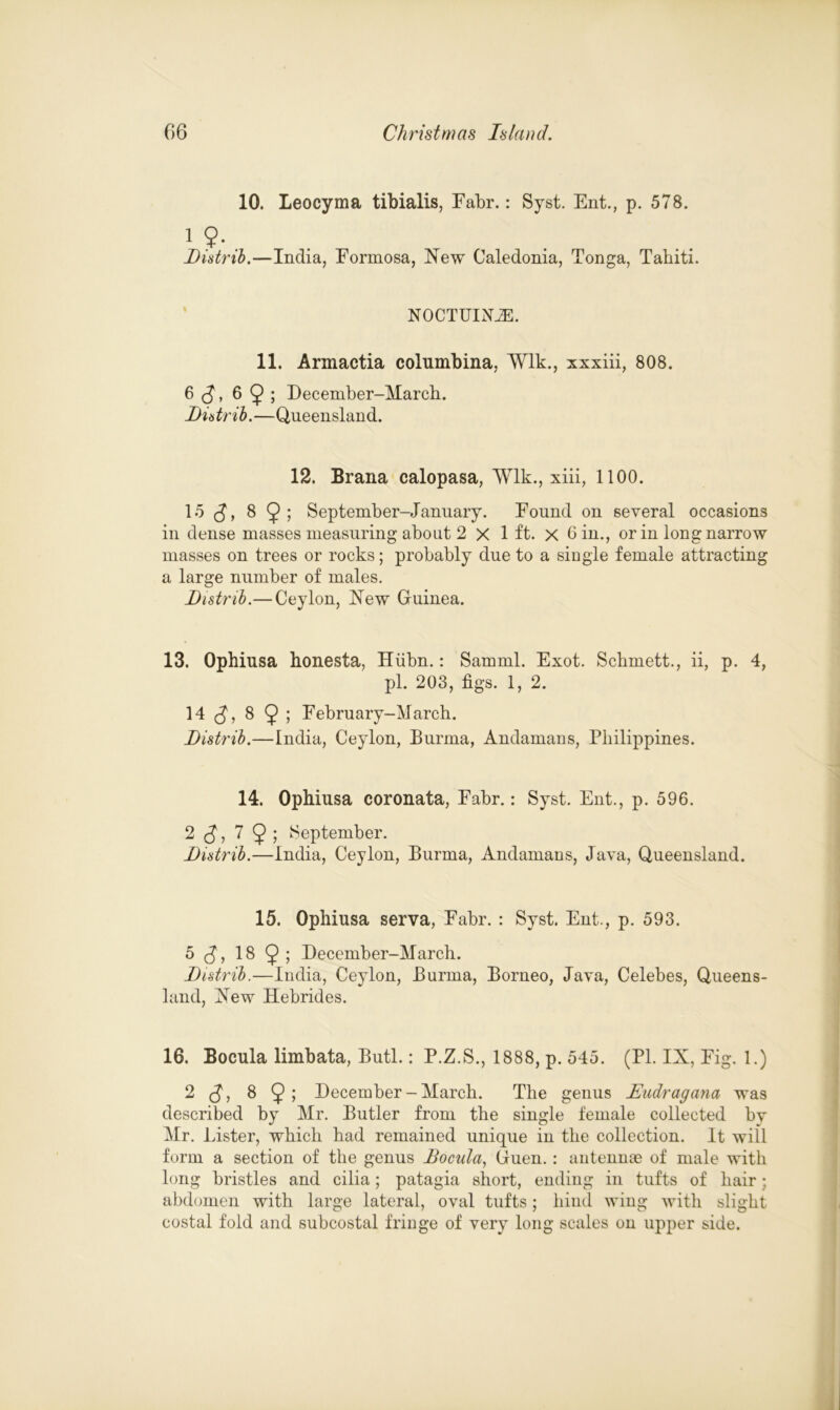 10. Leocyma tibialis, Fabr.: Syst. Ent., p. 578. i?-. Distrib.—India, Formosa, New Caledonia, Tonga, Tahiti. NOCTUINZE. 11. Armactia columbina, Wlk., xxxiii, 808. 6 ?, 6 9 ; December-March. Distrib.—Queensland. 12. Brana calopasa, Wlk., xiii, 1100. 15 ?, 8 September-January. Found on several occasions in dense masses measuring about 2 x 1 ft. x 6 in., or in long narrow masses on trees or rocks; probably due to a single female attracting a large number of males. Distrib.— Ceylon, New Guinea. 13. Ophiusa honesta, Hiibn.: Samml. Exot. Schmett., ii, p. 4, pi. 203, figs. 1, 2. 14 <?, 8 9 5 February-March. Distrib.—India, Ceylon, Burma, Andamans, Philippines. 14. Ophiusa coronata, Fabr.: Syst. Ent., p. 596. 2 (J, 7 9 ; September. Distrib.—India, Ceylon, Burma, Andamans, Java, Queensland. 15. Ophiusa serva, Fabr. : Syst. Ent., p. 593. 5 18 9 ; December-March. Distrib.—India, Ceylon, Burma, Borneo, Java, Celebes, Queens- land, New Hebrides. 16. Bocula limbata, Butl.: P.Z.S., 1888, p. 545. (PI. IX, Fig. 1.) 2 (?) 8 9> December-March. The genus JEudragana was described by Mr. Butler from the single female collected by Mr. Lister, which had remained unique in the collection. It will form a section of the genus Bocida, Guen.: antennae of male with long bristles and cilia; patagia short, ending in tufts of hair; abdomen with large lateral, oval tufts; hind wing with slight costal fold and subcostal fringe of very long scales on upper side.