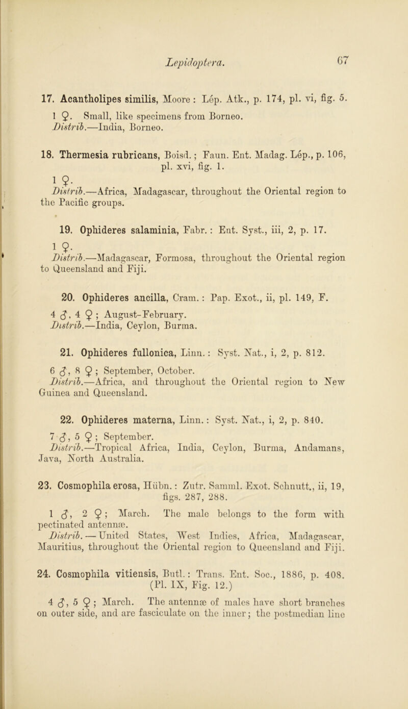 17. Acantholipes similis, Moore: Lep. Atk., p. 174, pi. vi, fig. 5. 1 9- Small, like specimens from Borneo. Distrib.—India, Borneo. 18. Thermesia rubricans, Boisd.; Faun. Ent. Madag. Lep., p. 106, pi. xvi, fig. 1. i?-. ... Distrib.—Africa, Madagascar, throughout the Oriental region to the Pacific groups. 19. Ophideres salaminia, Fabr.: Ent. Syst., iii, 2, p. 17. i?-. . Distrib.—Madagascar, Formosa, throughout the Oriental region to Queensland and Fiji. 20. Ophideres ancilla, Cram. : Pap. Exot., ii, pi. 149, F. 4 (J, 4 9 5 August-February. Distrib.—India, Ceylon, Burma. 21. Ophideres fullonica, Linn.: Syst. Hat., i, 2, p. 812. 6 (J, 8 9 ; September, October. Distrib.—Africa, and throughout the Oriental region to Hew Guinea and Queensland. 22. Ophideres materna, Linn.: Syst. Hat., i, 2, p. 810. 7 $, 5 9 5 September. Distrib.—Tropical Africa, India, Ceylon, Burma, Andamans, Java, Horth Australia. 23. Cosmophila erosa, Iliibn.: Zutr. Samml. Exot. Schnutt., ii, 19, figs. 287, 288. 1 (J, 2 9; March. The male belongs to the form with pectinated antenme. Distrib. — United States, West Indies, Africa, Madagascar, Mauritius, throughout the Oriental region to Queensland and Fiji. 24. Cosmophila vitiensis, Butl.: Trans. Ent. Soc., 1886, p. 408. (PL IX, Fig. 12.) 4 (J, 5 9 5 March. The antennae of males have short branches on outer side, and are fasciculate on the inner; the postmedian line