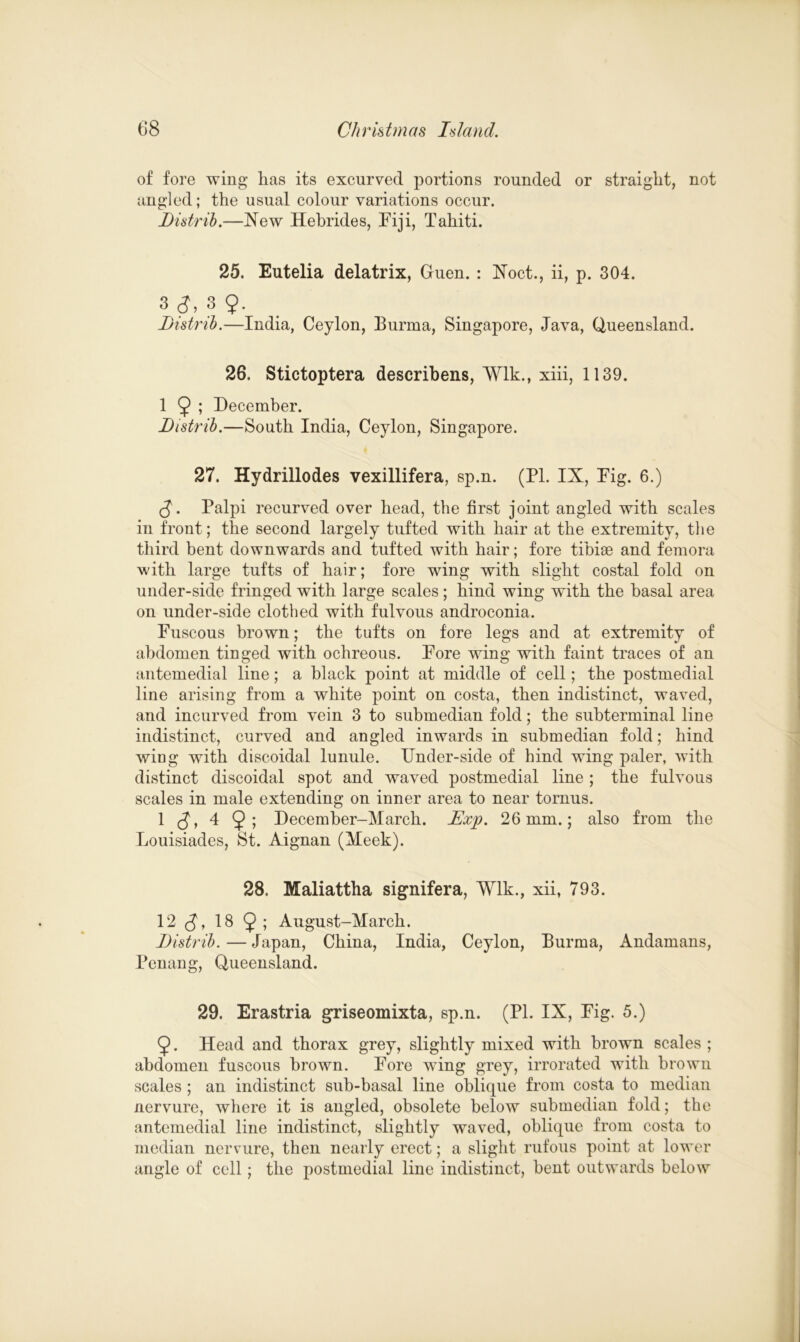 of fore wing lias its excurvecl portions rounded or straight, not angled; the usual colour variations occur. Distrib.—New Hebrides, Fiji, Tahiti. 25. Eutelia delatrix, Guen. : Noct., ii, p. 304. 3(J, 3 9- . Distrib.—India, Ceylon, Eurma, Singapore, Java, Queensland. 26. Stictoptera describens, Wlk., xiii, 1139. 1 9 ; December. Distrib.—South India, Ceylon, Singapore. 27. Hydrillodes vexillifera, sp.n. (PI. IX, Pig. 6.) (J. Palpi recurved over head, the first joint angled with scales in front; the second largely tufted with hair at the extremity, the third bent downwards and tufted with hair; fore tibiae and femora with large tufts of hair; fore wing with slight costal fold on under-side fringed with large scales; hind wing with the basal area on under-side clothed with fulvous androconia. Fuscous brown; the tufts on fore legs and at extremity of abdomen tinged with ochreous. Pore wing with faint traces of an antemedial line; a black point at middle of cell; the postmedial line arising from a white point on costa, then indistinct, waved, and incurved from vein 3 to submedian fold; the subterminal line indistinct, curved and angled inwards in submedian fold; hind wing with discoidal lunule. Under-side of hind wing paler, with distinct discoidal spot and waved postmedial line ; the fulvous scales in male extending on inner area to near tornus. 1 (?> 4 9» Decernber-March. JExp. 26mm.; also from the Louisiades, St. Aignan (Meek). 28. Maliattha signifera, Wlk., xii, 793. 12 18 9; August-March. Distrib. — Japan, China, India, Ceylon, Eurma, Andamans, Penang, Queensland. 29. Erastria griseomixta, sp.n. (PL IX, Pig. 5.) 9. Head and thorax grey, slightly mixed with brown scales ; abdomen fuscous brown. Pore wing grey, irrorated with brown scales; an indistinct sub-basal line oblique from costa to median nervure, where it is angled, obsolete below submedian fold; the antemedial line indistinct, slightly waved, oblique from costa to median nervure, then nearly erect; a slight rufous point at lower angle of cell; the postmedial line indistinct, bent outwards below