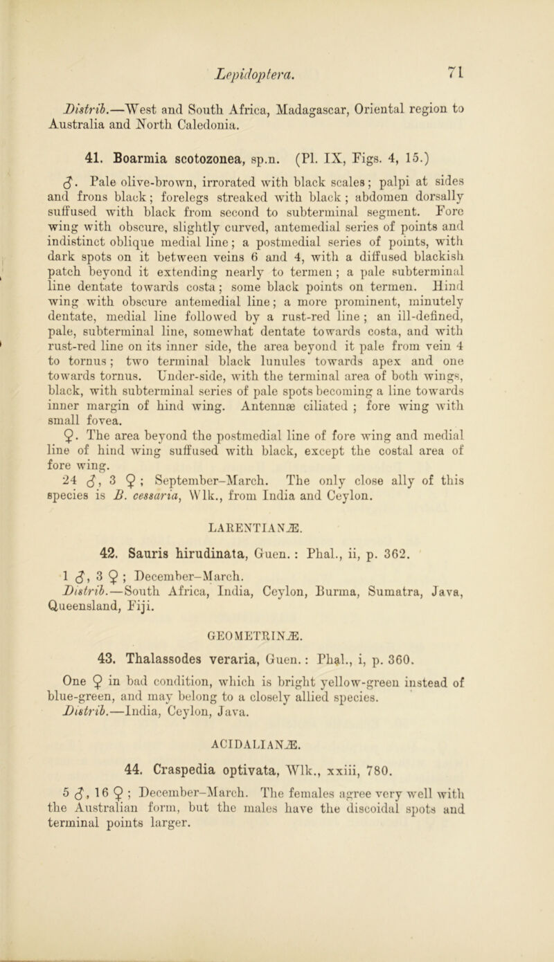 Distrib.—West and South Africa, Madagascar, Oriental region to Australia and North Caledonia. 41. Boarmia scotozonea, sp.n. (Pl. IX, Figs. 4, 15.) (J. Pale olive-brown, irrorated with black scales; palpi at sides and frons black; forelegs streaked with black ; abdomen dorsallv suffused with black from second to sub terminal segment. Fore wing with obscure, slightly curved, antemedial series of points and indistinct oblique medial line; a postmedial series of points, with dark spots on it between veins 6 and 4, with a diffused blackish patch beyond it extending nearly to termen ; a pale sub terminal line dentate towards costa; some black points on termen. Hind wing with obscure antemedial line; a more prominent, minutely dentate, medial line followed by a rust-red line ; an ill-defined, pale, subterminal line, somewhat dentate towards costa, and with rust-red line on its inner side, the area beyond it pale from vein 4 to tornus; two terminal black lunules towards apex and one towards tornus. Under-side, with the terminal area of both wings, black, with subterminal series of pale spots becoming a line towards inner margin of hind wing. Antennae ciliated ; fore wing with small fovea. 9« The area beyond the postmedial line of fore wing and medial line of hind wing suffused with black, except the costal area of fore wing. 24 $, 3 9 ; September-March. The only close ally of this species is B. cessarta, Wlk., from India and Ceylon. LARENTIANJE. 42. Sauris hirudinata, Gfuen.: Phal., ii, p. 362. 1 (J, 3 9 ; December-March. Distrib.—South Africa, India, Ceylon, Burma, Sumatra, Java, Queensland, Fiji. GEOMETItIN_ZE. 43. Thalassodes veraria, Guen.: Ph*l., i, p. 360. One 9 in had condition, which is bright yellow-green instead of blue-green, and may belong to a closely allied species. Distrib.—India, Ceylon, Java. ACIDALIAN2E. 44. Craspedia optivata, Wlk., xxiii, 780. 5 16 9 > December-March. The females agree very well with the Australian form, but the males have the discoidal spots and terminal points larger.