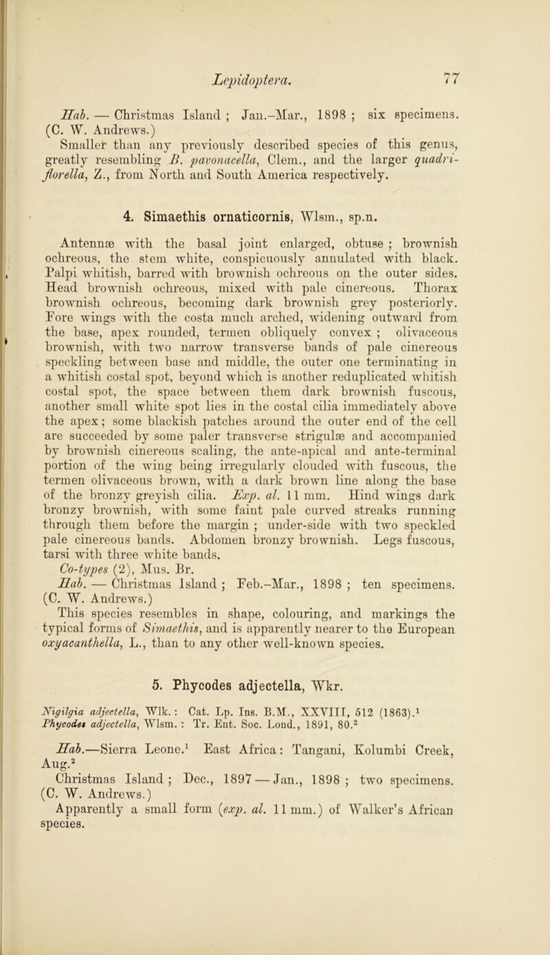 Hob. — Christmas Island ; Jan.-Mar., 1898 ; six specimens. (C. W. Andrews.) Smaller than any previously described species of this genus, greatly resembling B. pavonacella, Clem., and the larger quadrt- jiorella, Z., from North and South America respectively. 4. Simaethis ornaticornis, Wlsm., sp.n. Antennae with the basal joint enlarged, obtuse ; brownish ochreous, the stem white, conspicuously annulated with black. Palpi whitish, barred with brownish ochreous on the outer sides. Head brownish ochreous, mixed with pale cinereous. Thorax brownish ochreous, becoming dark brownish grey posteriorly. Pore wings with the costa much arched, widening outward from the base, apex rounded, termen obliquely convex ; olivaceous brownish, with two narrow transverse bands of pale cinereous speckling between base and middle, the outer one terminating in a whitish costal spot, beyond which is another reduplicated whitish costal spot, the space between them dark brownish fuscous, another small white spot lies in the costal cilia immediately above the apex; some blackish patches around the outer end of the cell are succeeded by some paler transverse strigulae and accompanied by brownish cinereous scaling, the ante-apical and ante-terminal portion of the wing being irregularly clouded with fuscous, the termen olivaceous brown, with a dark brown line along the base of the bronzy greyish cilia. Exp. al. 11 mm. Hind wings dark bronzy brownish, with some faint pale curved streaks running through them before the margin ; under-side with two speckled pale cinereous bands. Abdomen bronzy brownish. Legs fuscous, tarsi with three white bands. Co-types (2), Mus. Br. Hab. — Christmas Island ; Peb.-Mar., 1898 ; ten specimens. (C. W. Andrews.) This species resembles in shape, colouring, and markings the typical forms of Simaethis, and is apparently nearer to the European oxyacanthella, L., than to any other well-known species. 5. Phycodes adjectella, Wkr. Nigilgxa adjectella, Wlk. : Cat. Lp. Ins. B.M., XXVIII, 512 (1863).1 Phycodet adjectella, Wlsm. : Tr. Ent. Soc. Lond., 1891, 80.2 Hab.—Sierra Leone.1 East Africa: Tangani, Kolumbi Creek, Aug.2 Christmas Island; Dec., 1897 — Jan., 1898; two specimens. (C. W. Andrews.) Apparently a small form {exp. al. 11mm.) of Walker’s African species.