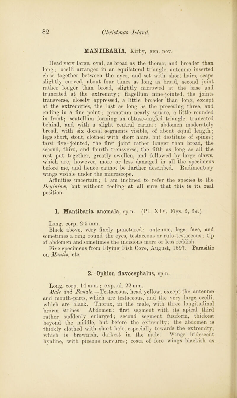 MANTIBARIA, Kirby, gen. nov. Head very large, oval, as broad as the tborax, and broader tban long; ocelli arranged in an equilateral triangle, antennae inserted close together between the eyes, and set with short hairs, scape slightly curved, about four times as long as broad, second joint rather longer than broad, slightly narrowed at the base and truncated at the extremity ; flagellum nine-jointed, the joints transverse, closely appressed, a little broader than long, except at the extremities, the last as long as the preceding three, and ending in a fine point; pronotum nearly square, a little rounded in front; scutellum forming an obtuse-angled triangle, truncated behind, and with a slight central carina; abdomen moderately broad, with six dorsal segments visible, of about equal length ; legs short, stout, clothed with short hairs, but destitute of spines ; tarsi five-jointed, the first joint rather longer than broad, the second, third, and fourth transverse, the fifth as long as all the rest put together, greatly swollen, and followed by large claws, which are, however, more or less damaged in all the specimens before me, and hence cannot be further described. Rudimentary wings visible under the microscope. Affinities uncertain; I am inclined to refer the species to the Dry mince, but without feeling at all sure that this is its real position. 1. Mantibaria anomala, sp.n. (PI. XIV, Pigs. 5, 5«.) Long. corp. 2*5 mm. Black above, very finely punctured; antennae, legs, face, and sometimes a ring round the eyes, testaceous or rufo-testaceous; tip of abdomen and sometimes the incisions more or less reddish. Five specimens from Flying Fish Cove, August, 1897. Parasitic on Mantis, etc. 2. Ophion flavocephalus, sp.n. Long. corp. 14 mm.; exp. al. 22 mm. Male and Female.—Testaceous, head yellow, except the antennae and mouth-parts, which are testaceous, and the very large ocelli, which are black. Thorax, in the male, with three longitudinal brown stripes. Abdomen: first segment with its apical third rather suddenly enlarged; second segment fusiform, thickest beyond the middle, but before the extremity; the abdomen is thickly clothed with short hair, especially towards the extremity, which is brownish, darkest in the male. Wings iridescent hyaline, witli piceous nervures; costa of fore wings blackish as