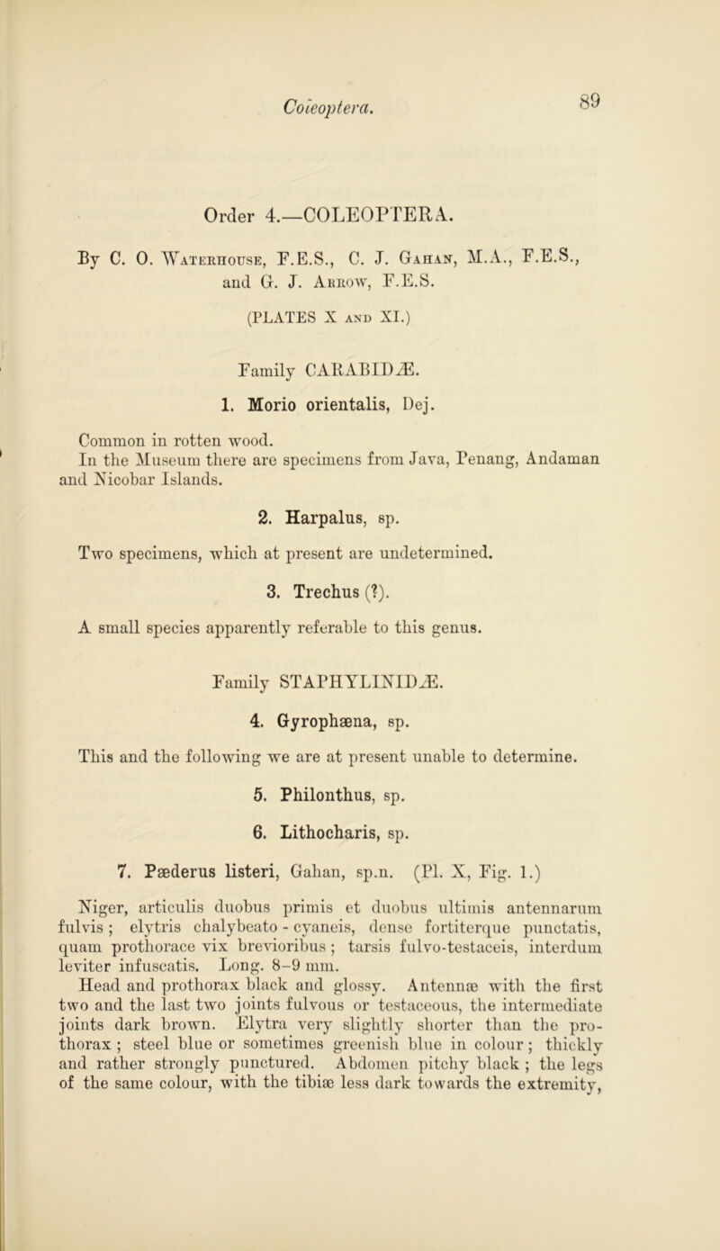Order 4.—COLEOPTERA. By C. 0. Waterhouse, F.E.S., C. J. Gahan, M.A., F.E.S., and G. J. Arrow, F.E.S. (PLATES X and XI.) Family CAIIABIDiE. 1. Morio orientalis, Dej. Common in rotten wood. In the Museum there are specimens from Java, Penang, Andaman and Xicobar Islands. 2. Harpalus, sp. Two specimens, which at present are undetermined. 3. Trechus (?). A small species apparently referable to this genus. Family STAPHYLINIDJE. 4. Gyrophsena, sp. This and the following we are at present unable to determine. 5. Philonthus, sp. 6. Lithocharis, sp. 7. Psederus listen, Gahan, sp.n. (PL X, Fig. 1.) Xiger, articulis duobus primis et duobus ultimis antennarum fulvis ; elytris chalybeato - cyaneis, dense fortiterque punctatis, quam prothorace vix brevioribus; tarsis fulvo-testaceis, interdum leviter infuscatis. Long. 8-9 mm. Head and prothorax black and glossy. Antennae with the first two and the last two joints fulvous or testaceous, the intermediate joints dark brown. Elytra very slightly shorter than the pro- thorax ; steel blue or sometimes greenish blue in colour; thickly and rather strongly punctured. Abdomen pitchy black ; the legs of the same colour, with the tibiae less dark towards the extremity,